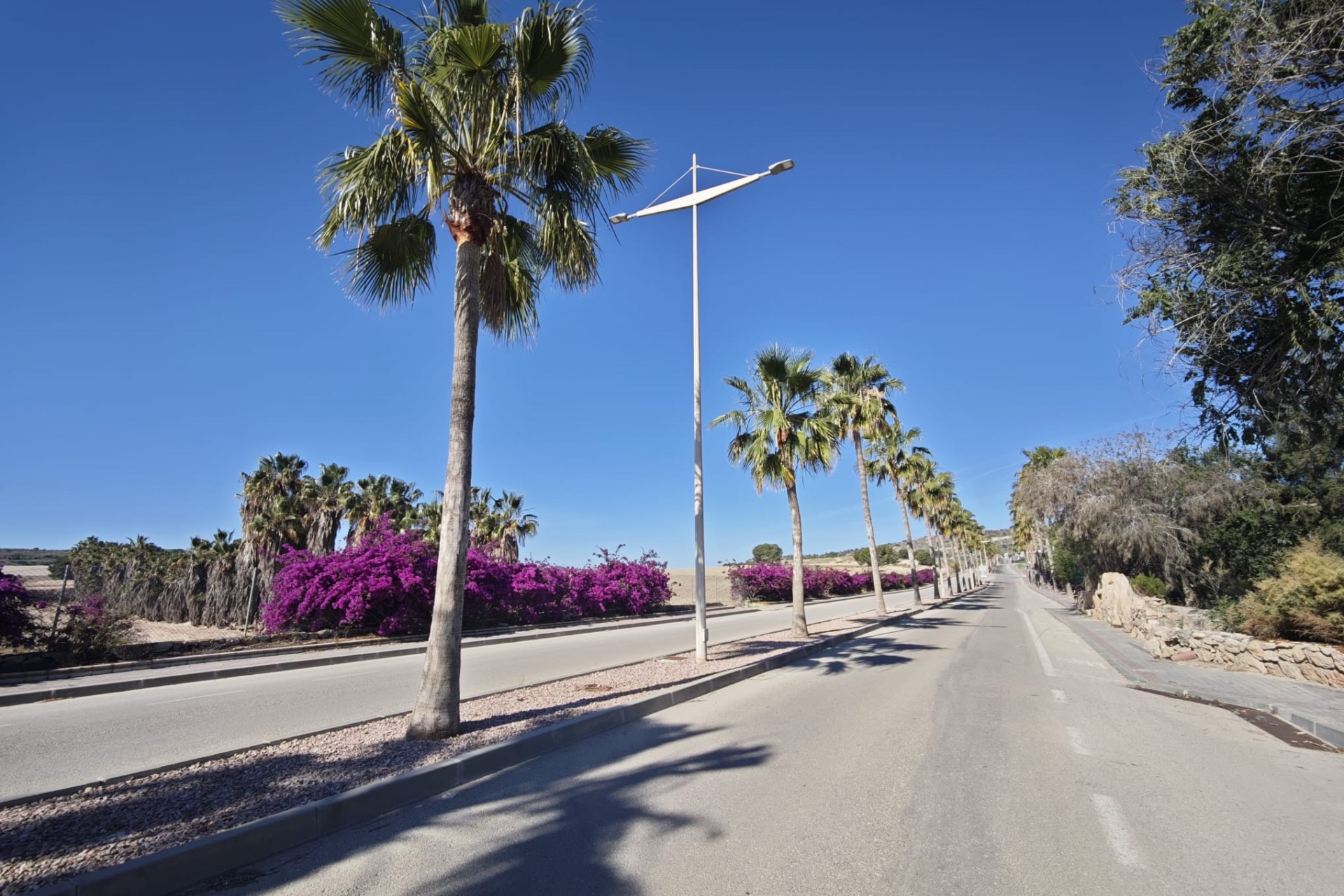 Reventa - Villa -
Algorfa - Inland