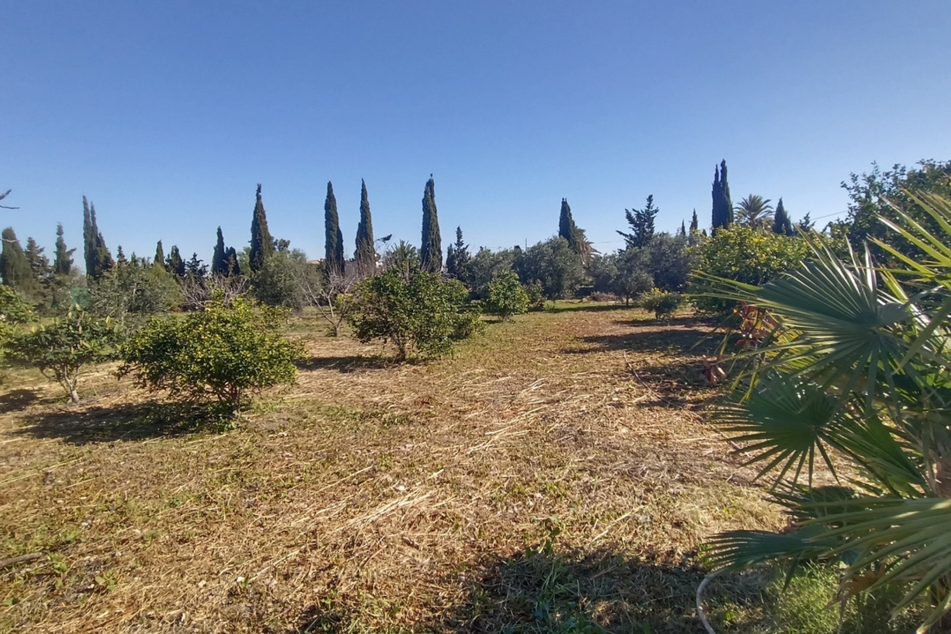 Reventa - Villa -
Avileses - Inland