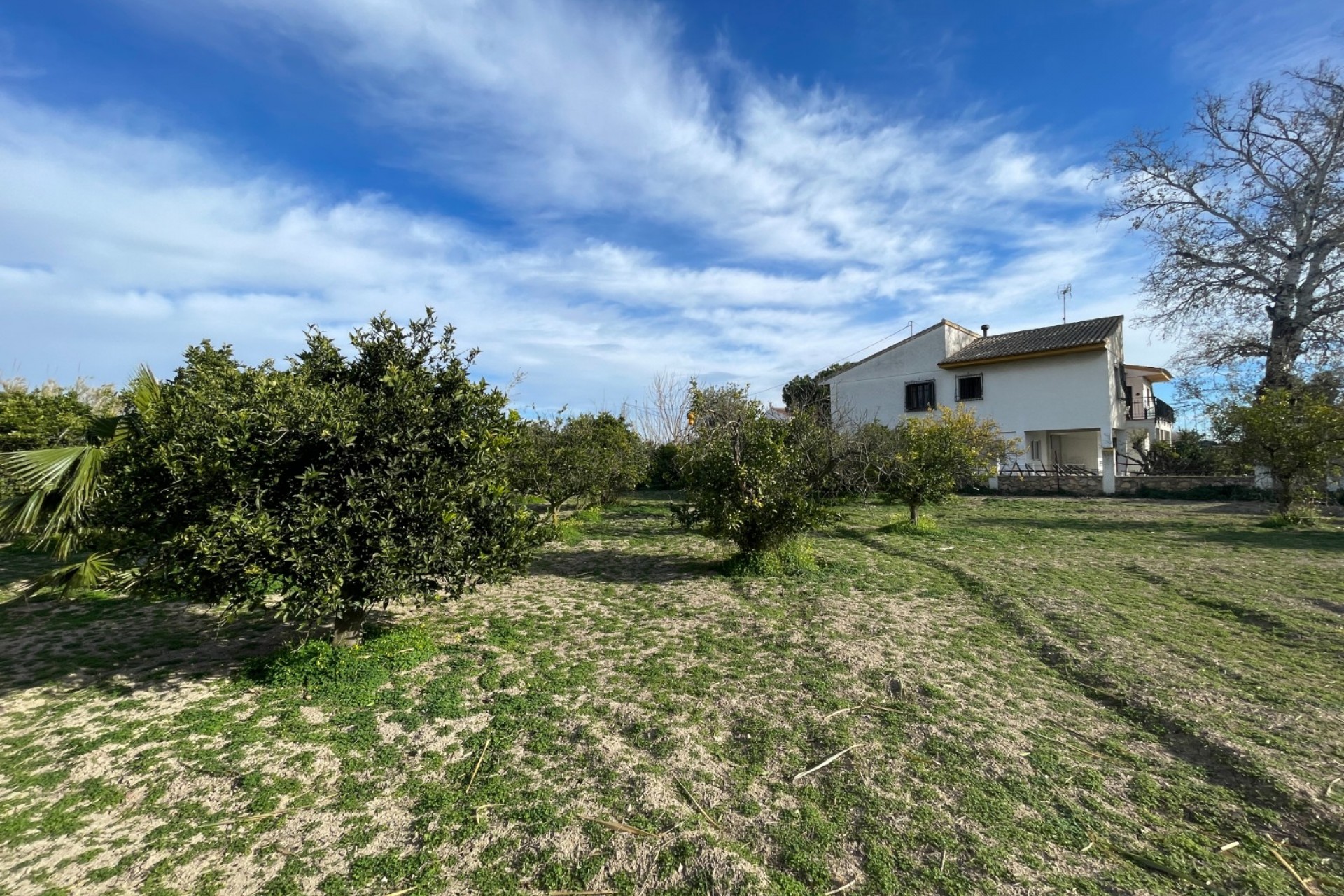 Reventa - Villa -
Benejúzar - Inland