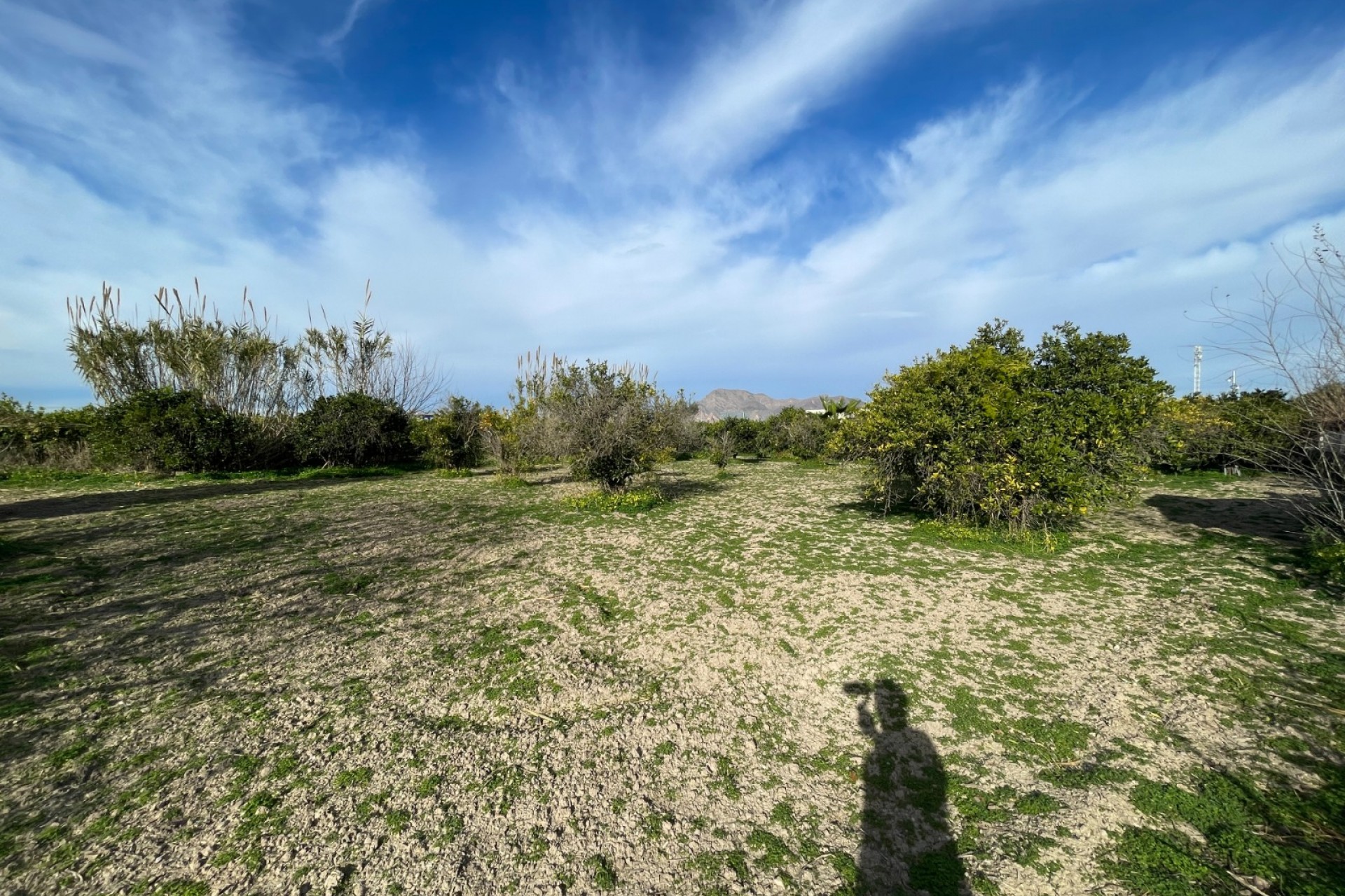 Reventa - Villa -
Benejúzar - Inland