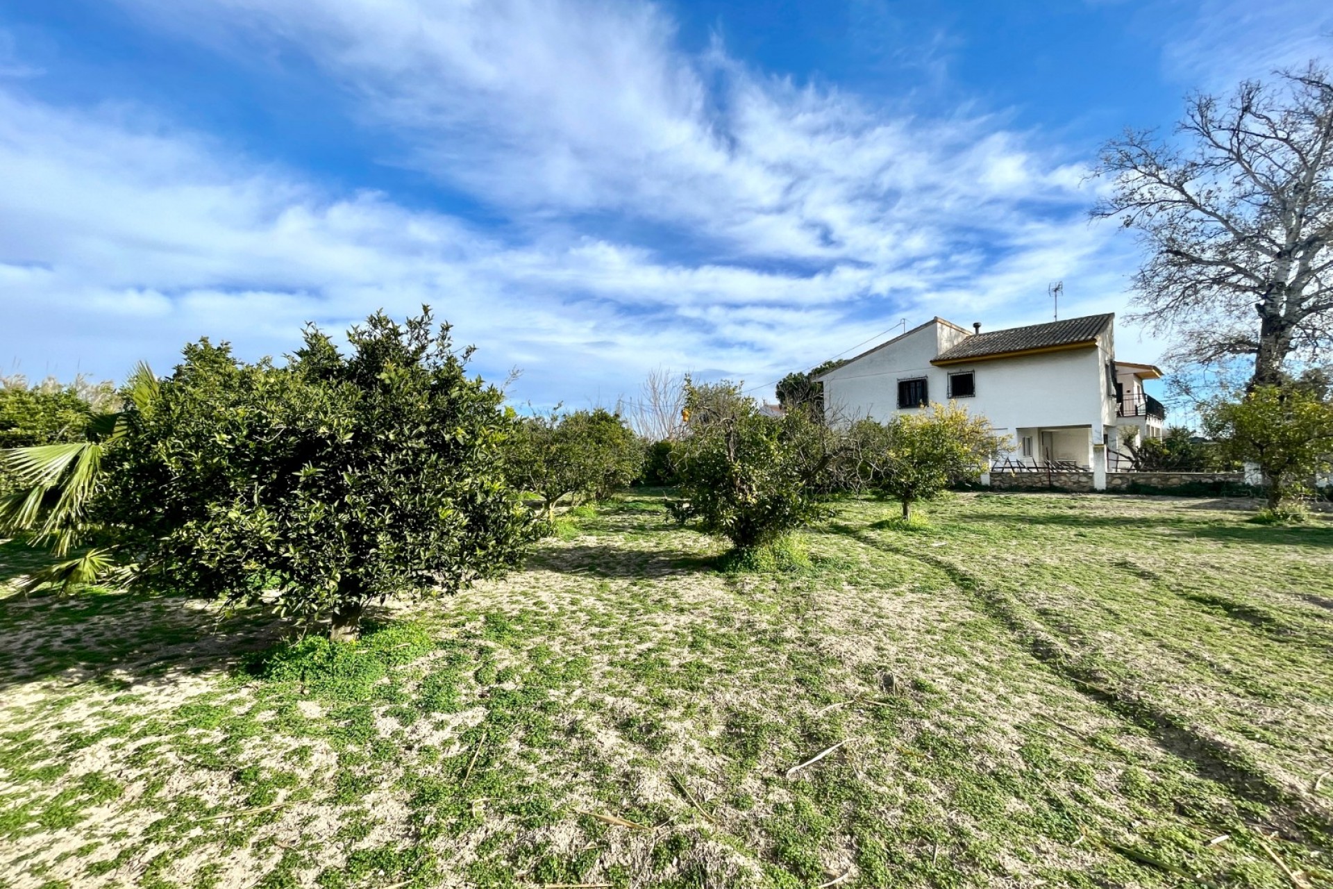 Reventa - Villa -
Benejúzar - Inland