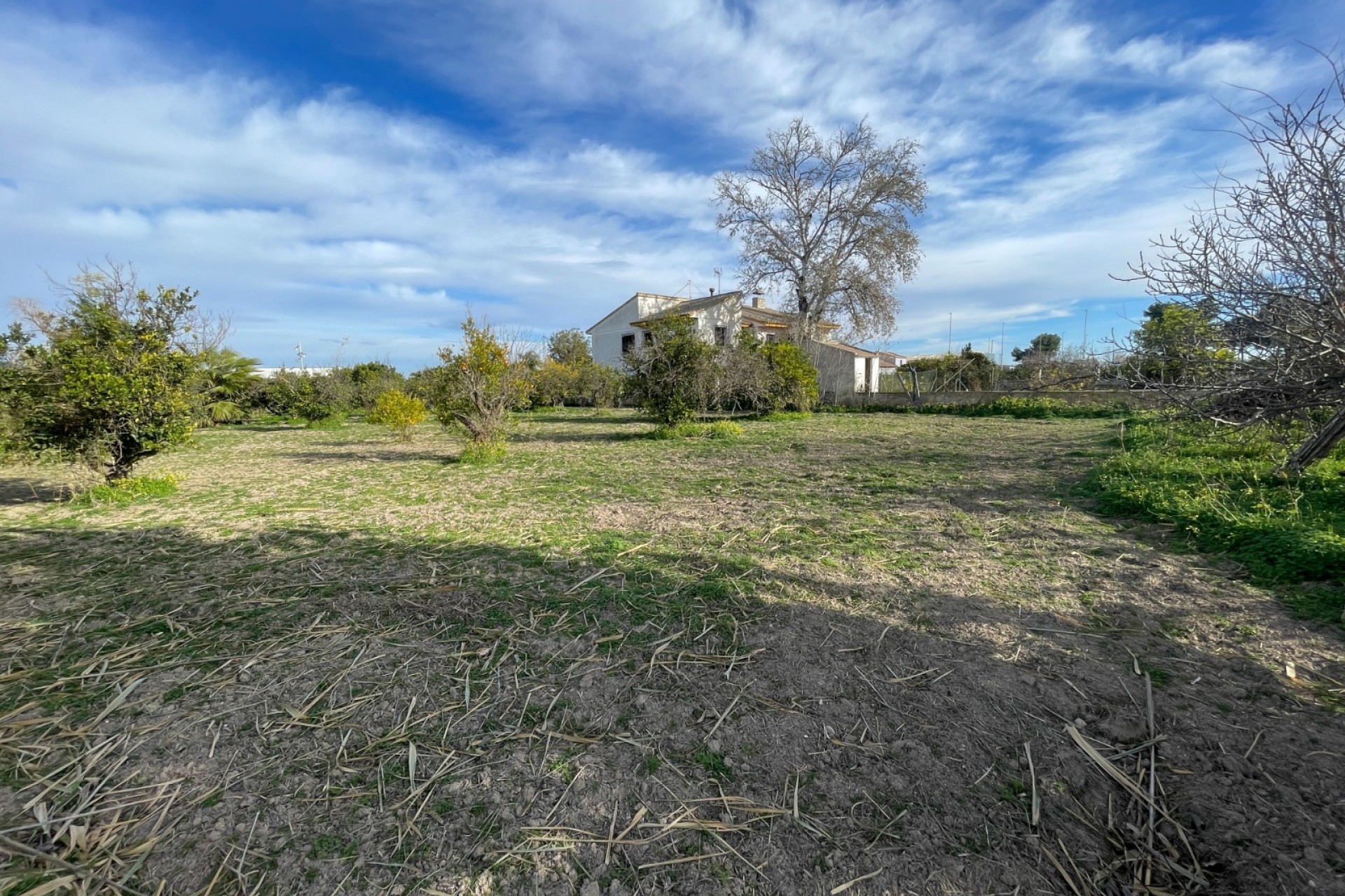 Reventa - Villa -
Benejúzar - Inland