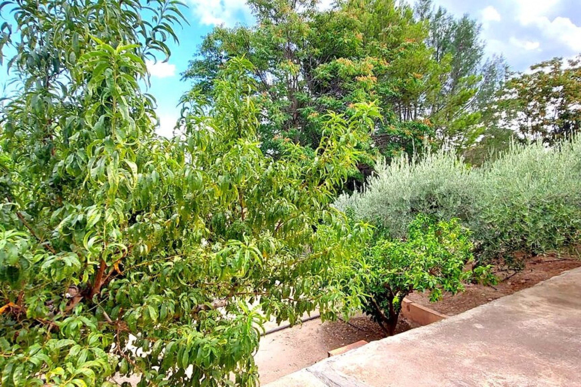 Reventa - Villa -
Calasparra - Inland