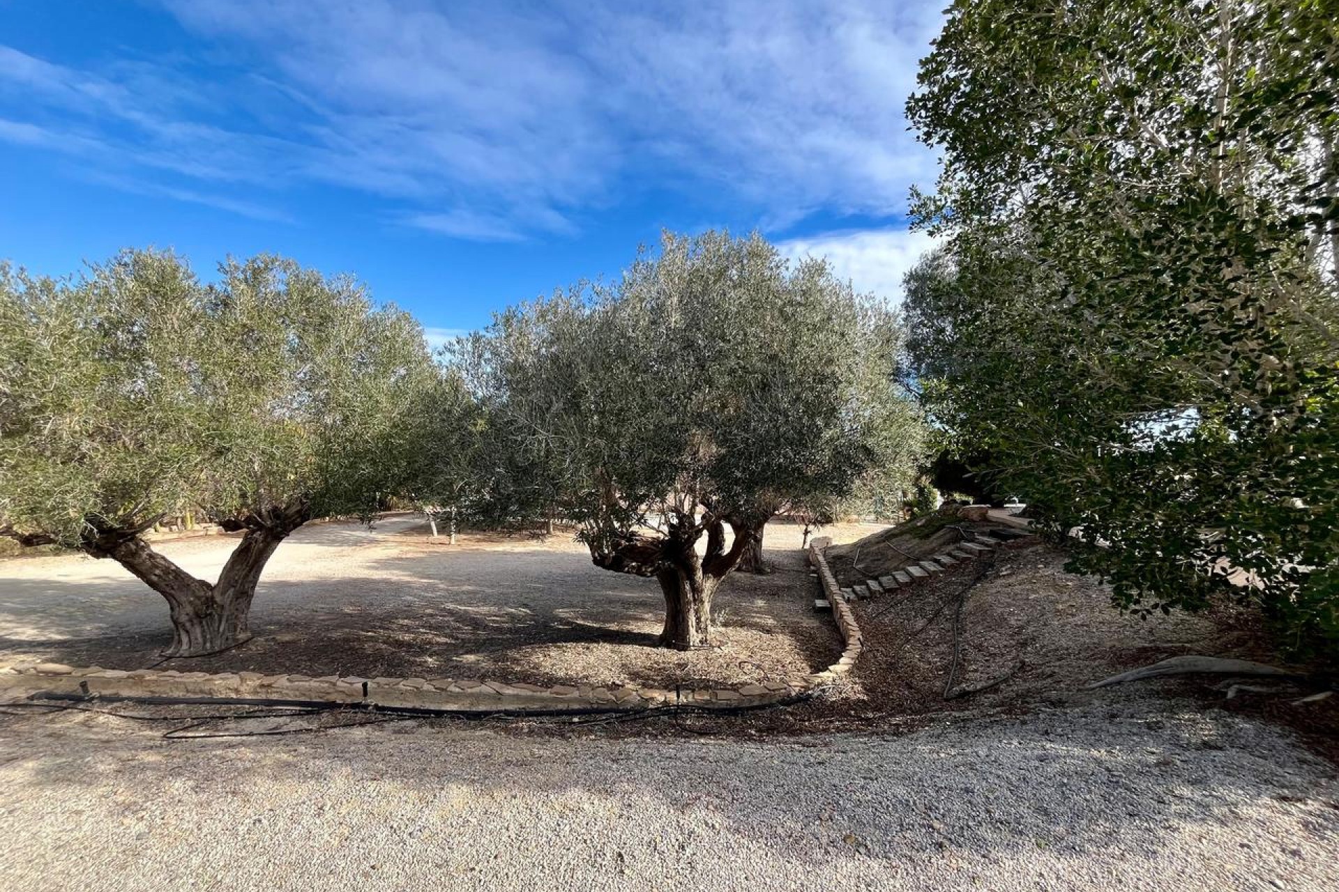 Reventa - Villa -
El Esparragal - Inland