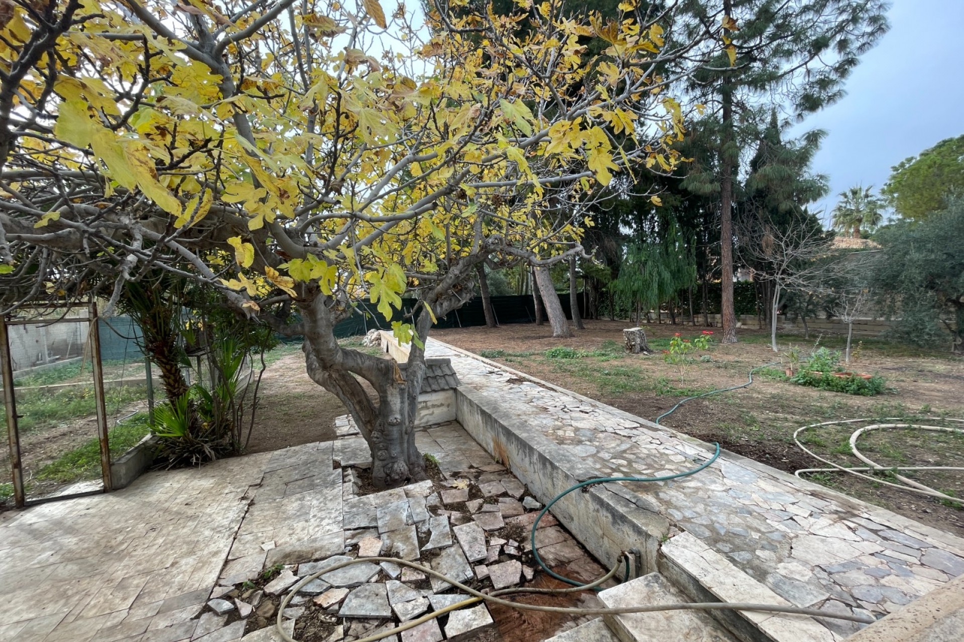 Reventa - Villa -
Elche - Costa Blanca