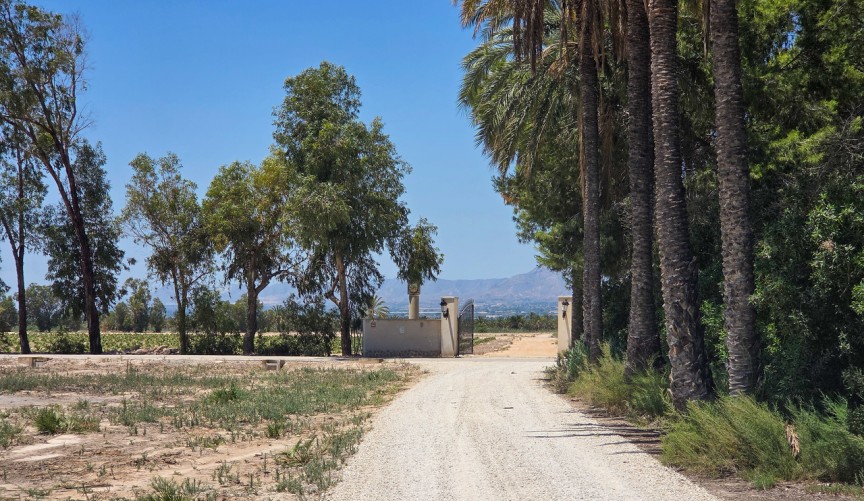 Reventa - Villa -
Elche - Costa Blanca