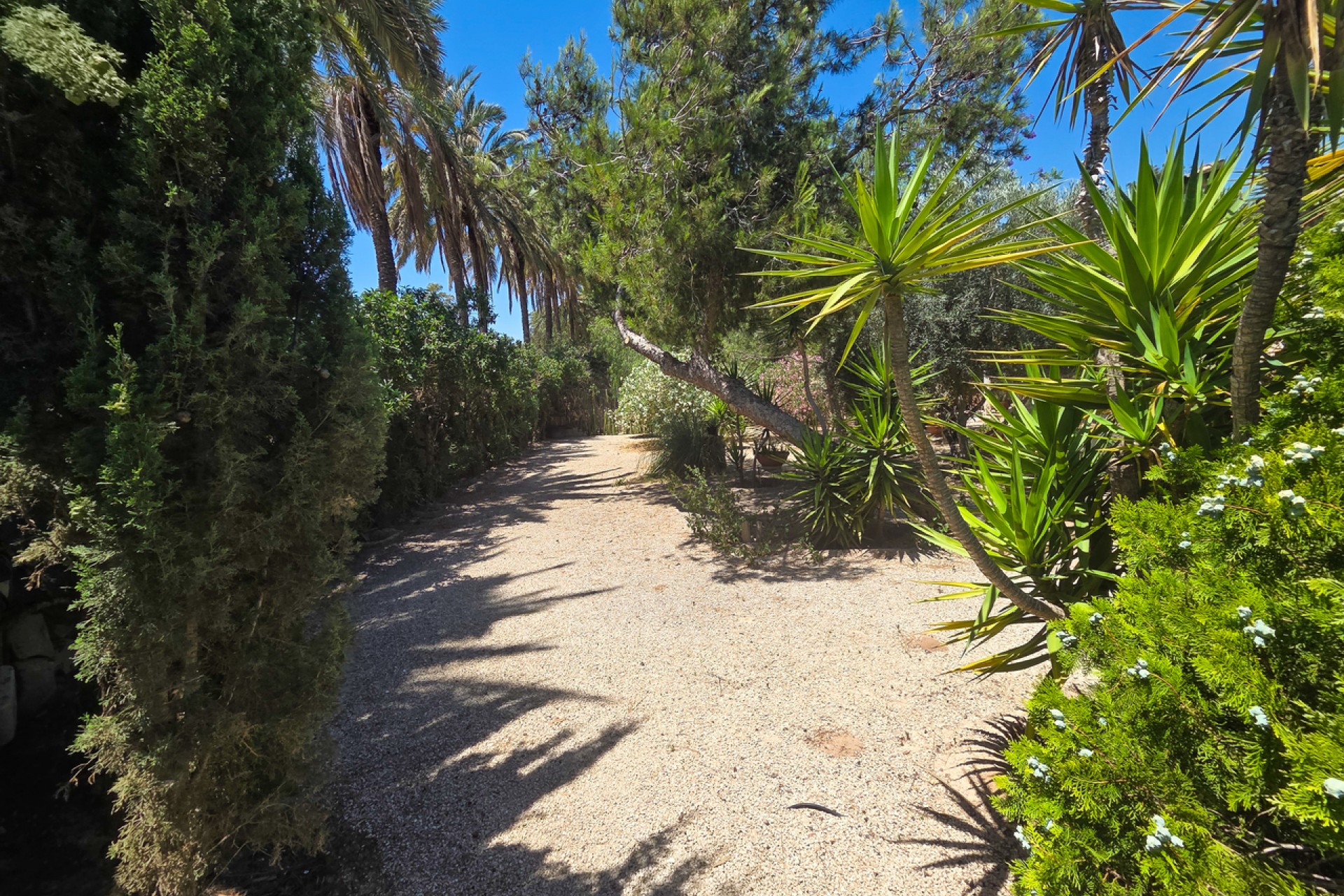 Reventa - Villa -
Elche - Costa Blanca