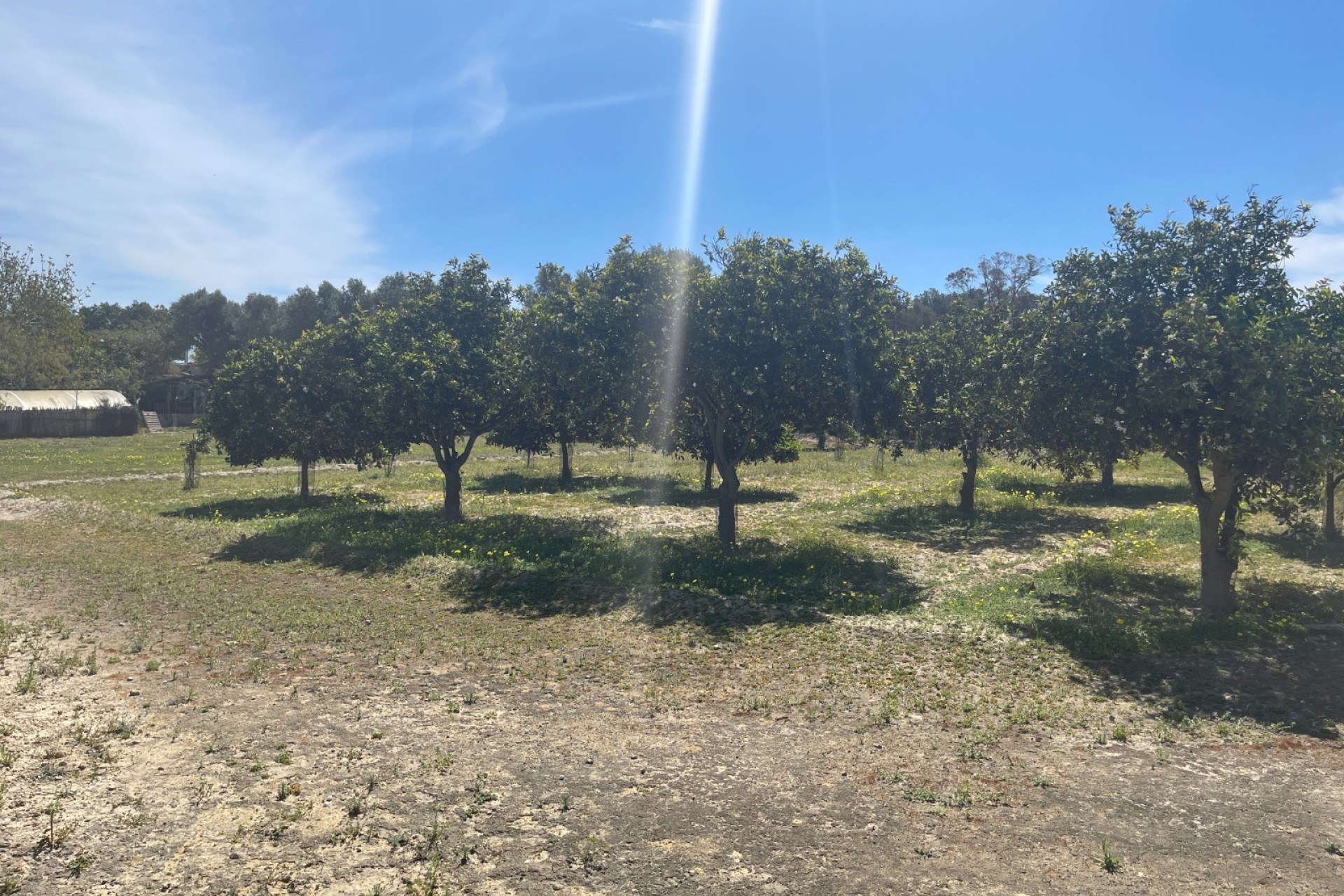 Reventa - Villa -
Guardamar del Segura - Costa Blanca