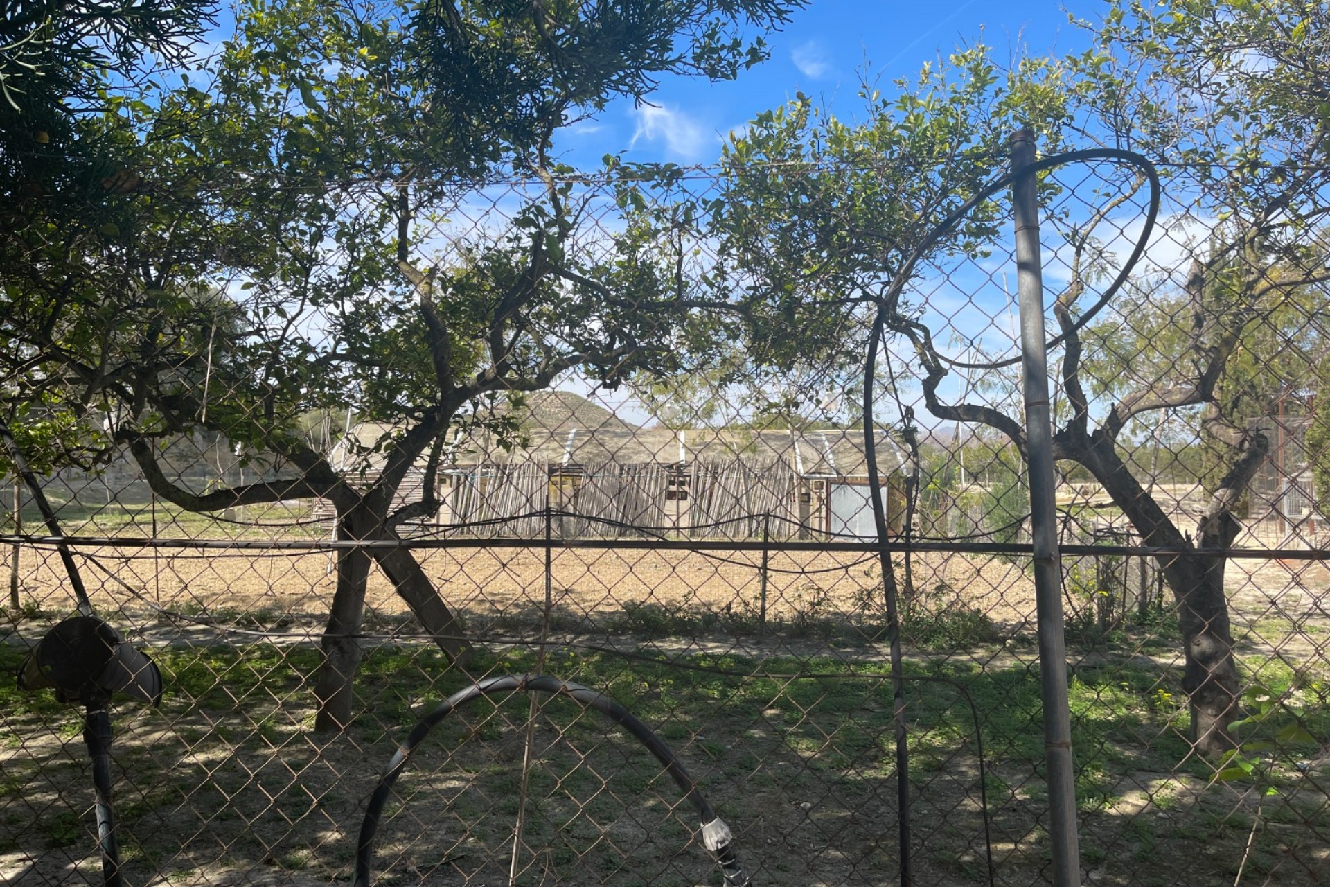 Reventa - Villa -
Guardamar del Segura - Costa Blanca