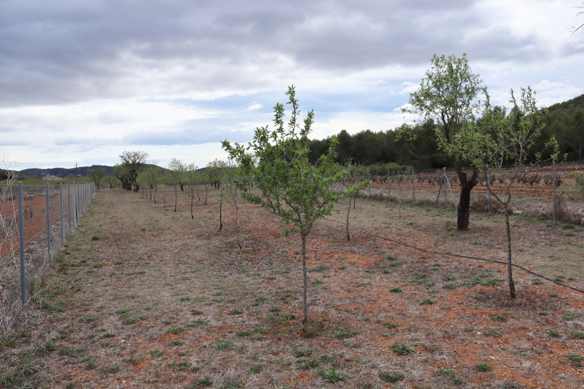 Reventa - Villa -
Jalón - Inland