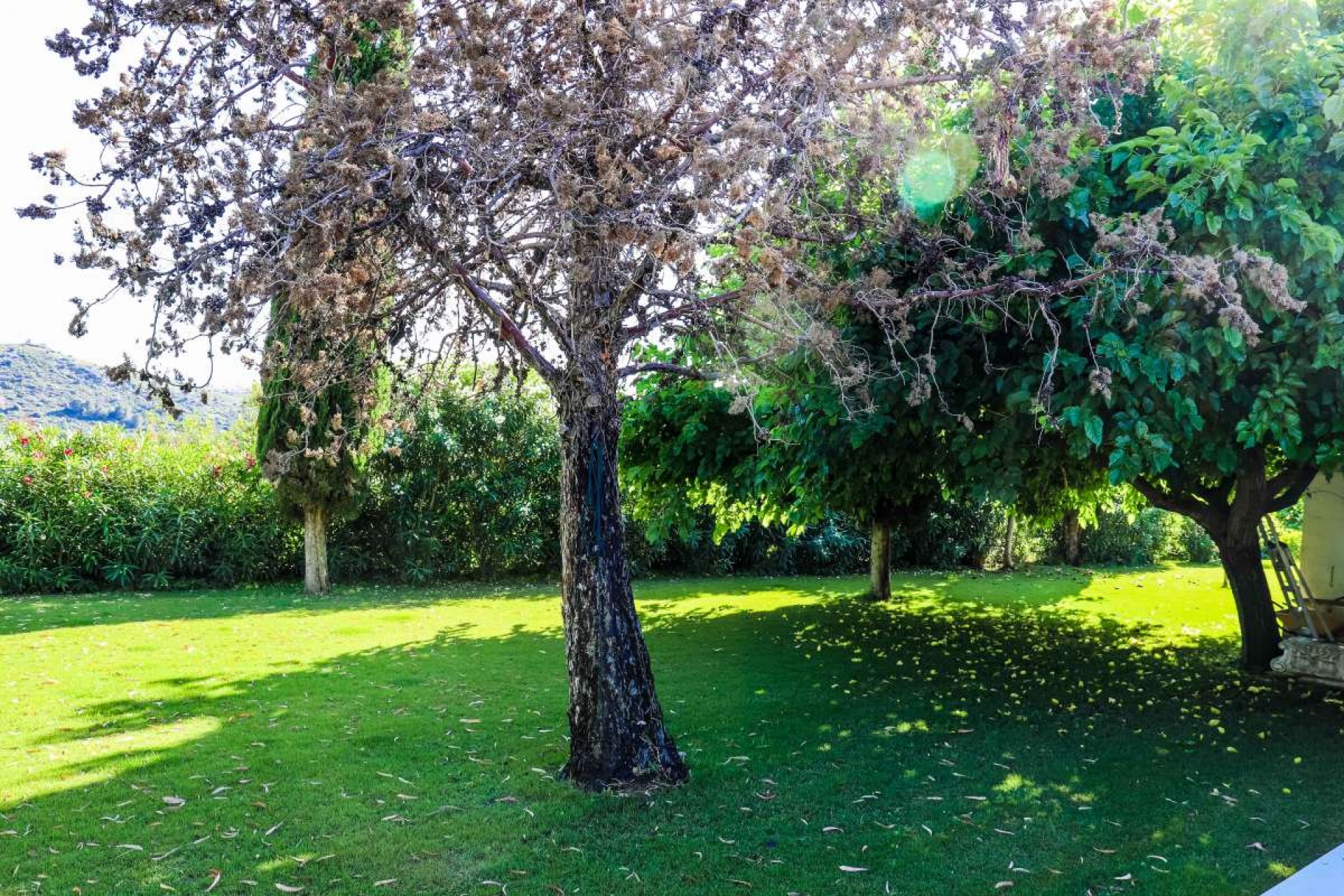 Reventa - Villa -
Jesus Pobre - Inland