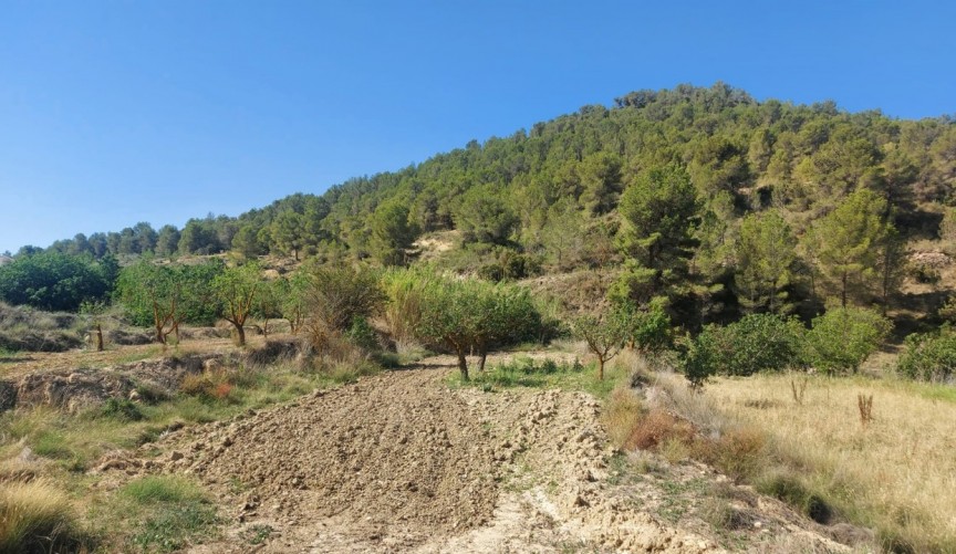 Reventa - Villa -
Jumilla - Inland