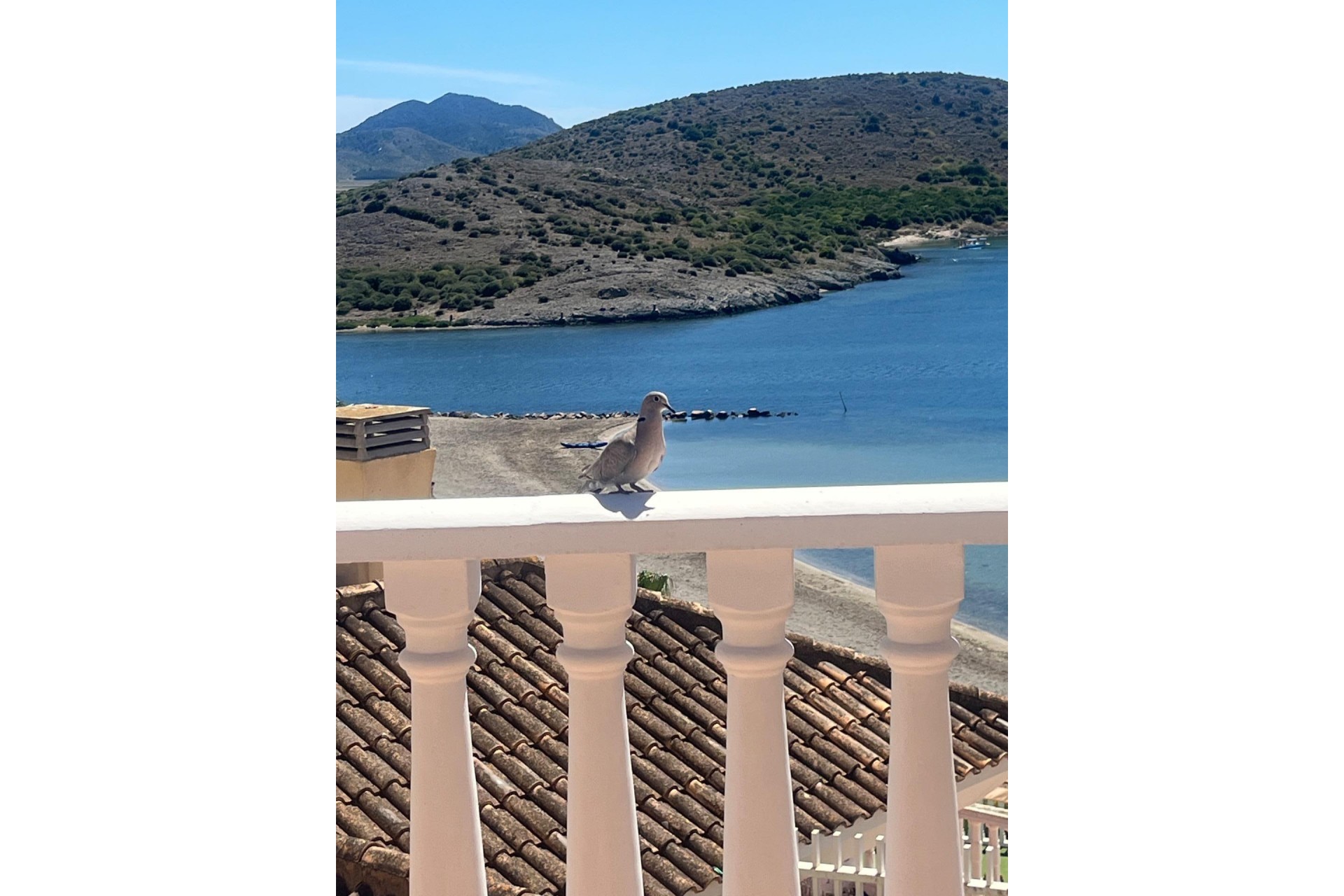 Reventa - Villa -
La Manga del Mar Menor - Villa Romana