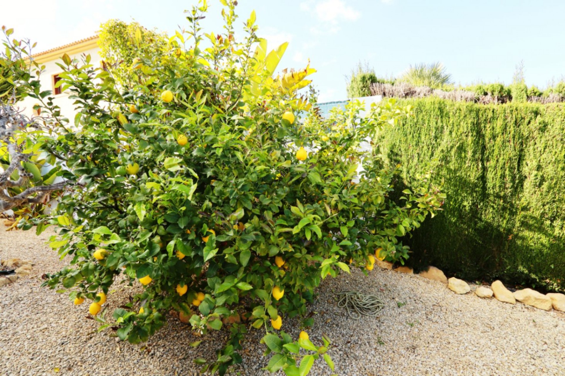 Reventa - Villa -
La Nucía - Costa Blanca