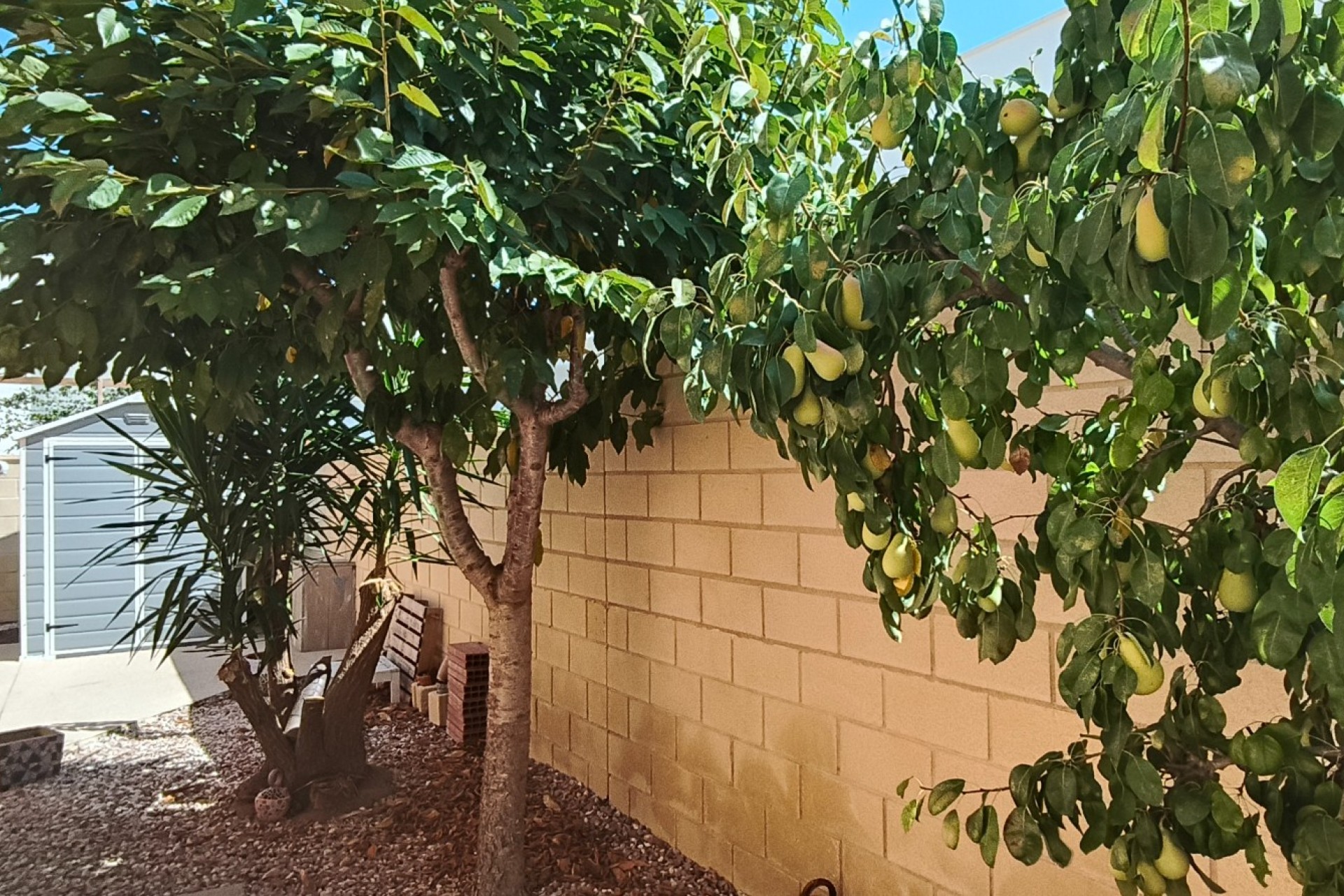 Reventa - Villa -
La Romana - Inland