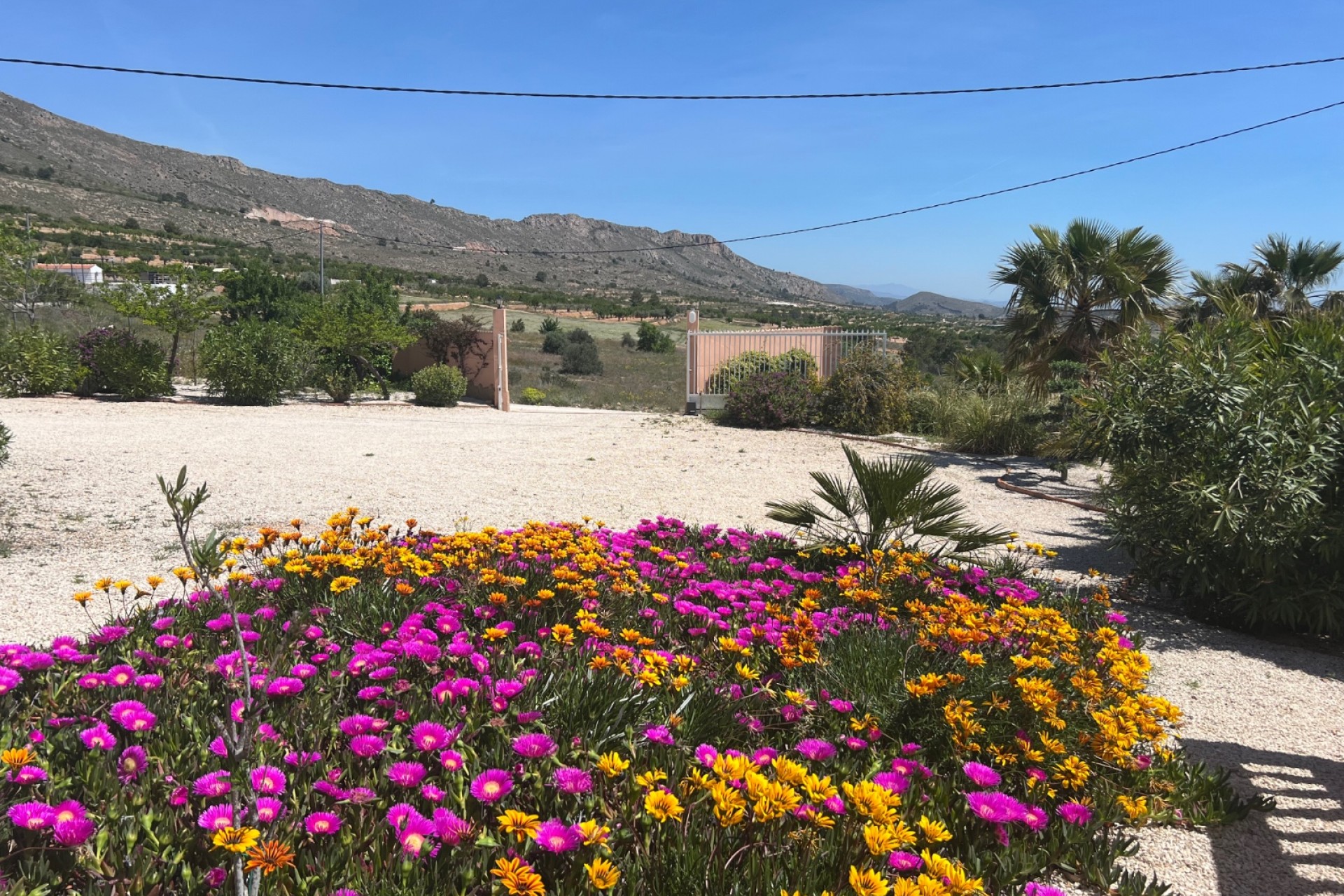 Reventa - Villa -
La Romana - Inland