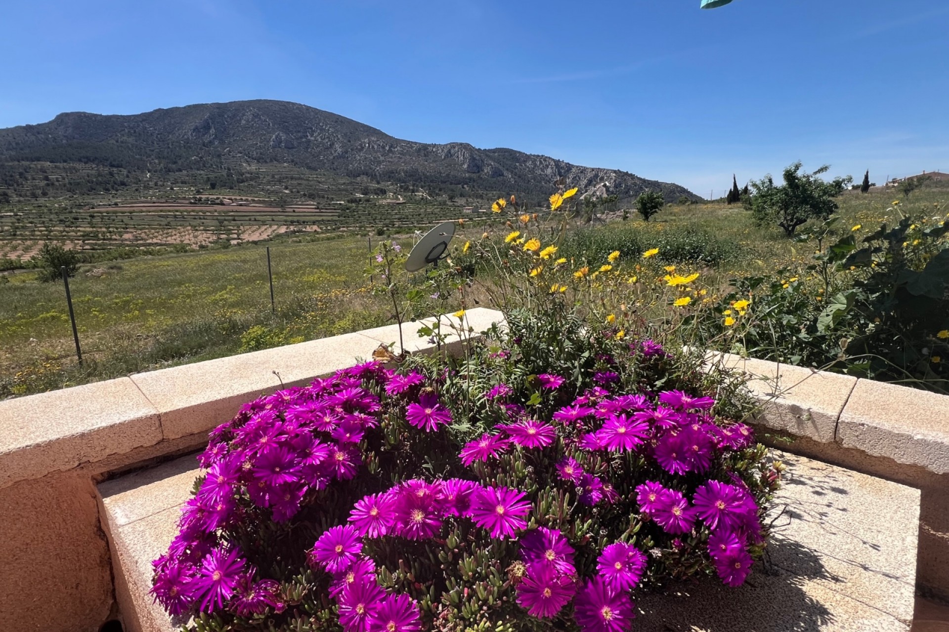Reventa - Villa -
La Romana - Inland