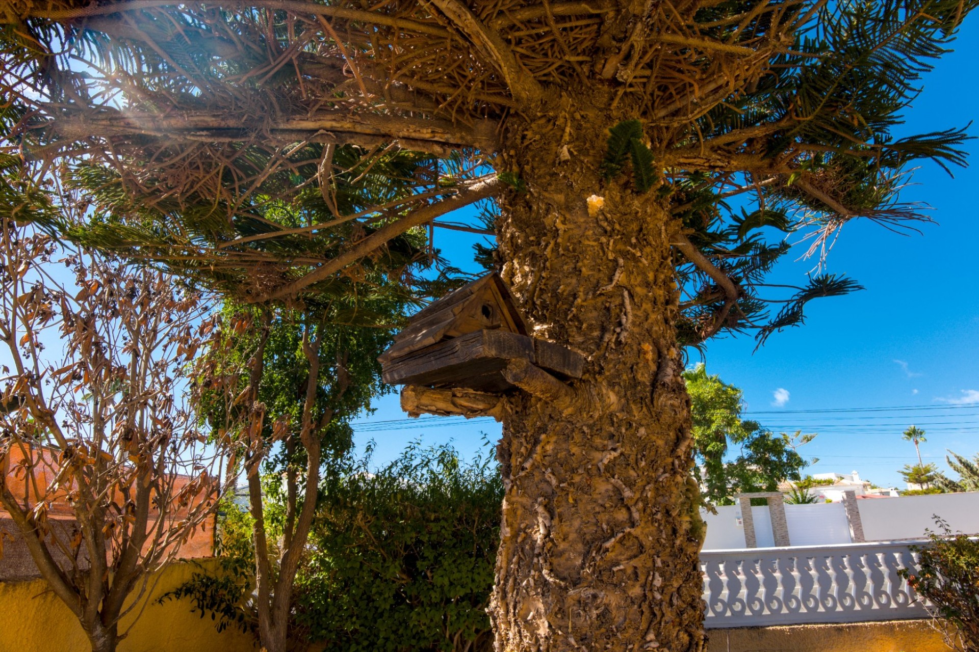 Reventa - Villa -
La Siesta - Costa Blanca