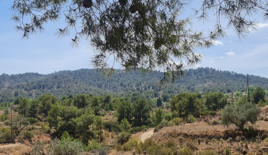 Reventa - Villa -
Monóvar/Monóver - Inland