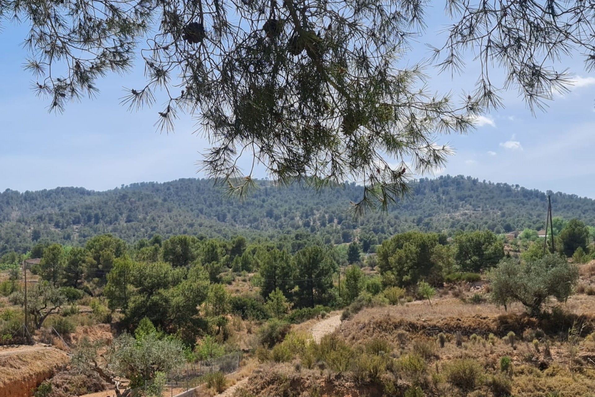 Reventa - Villa -
Monóvar/Monóver - Inland