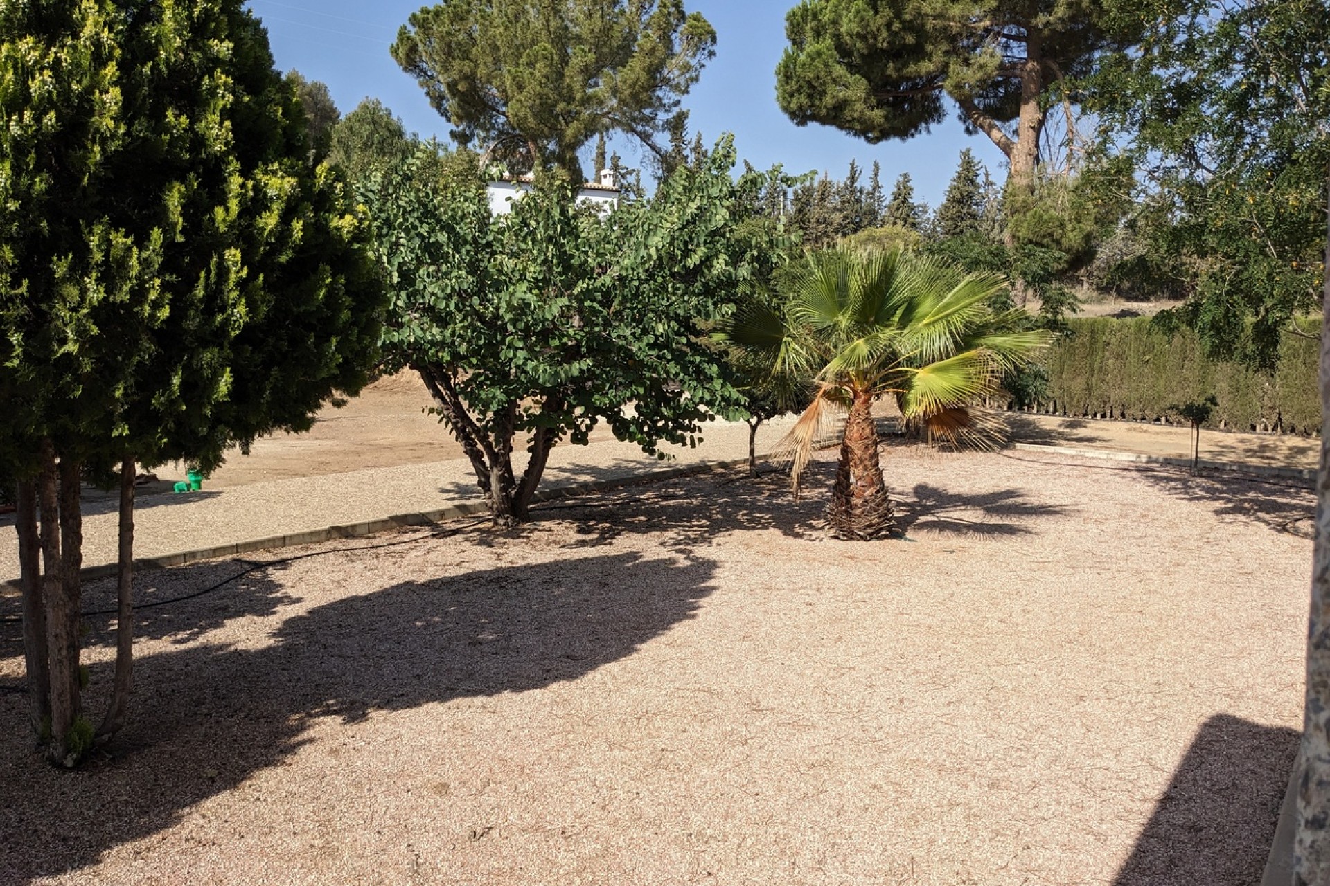 Reventa - Villa -
Murcia - Inland