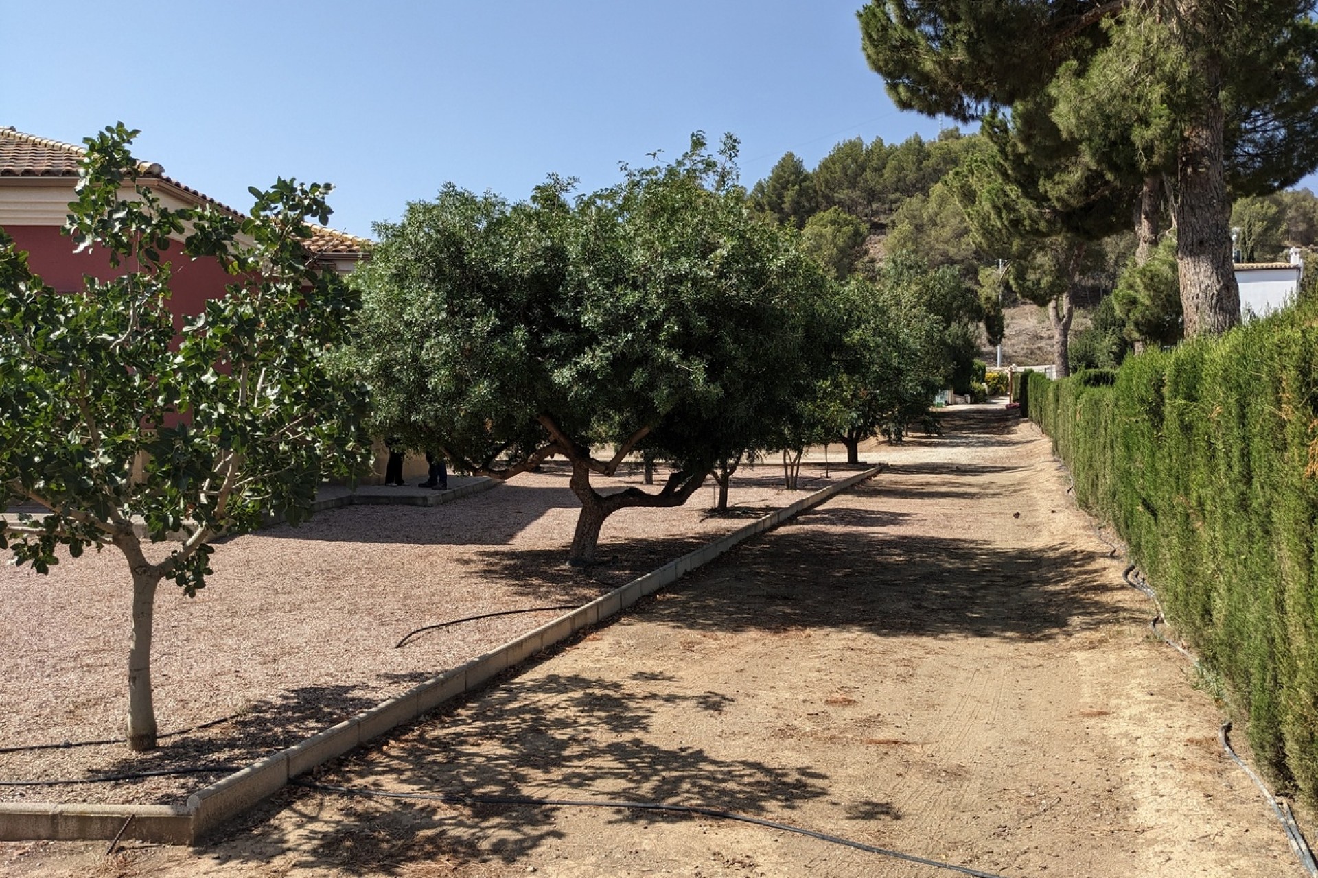 Reventa - Villa -
Murcia - Inland