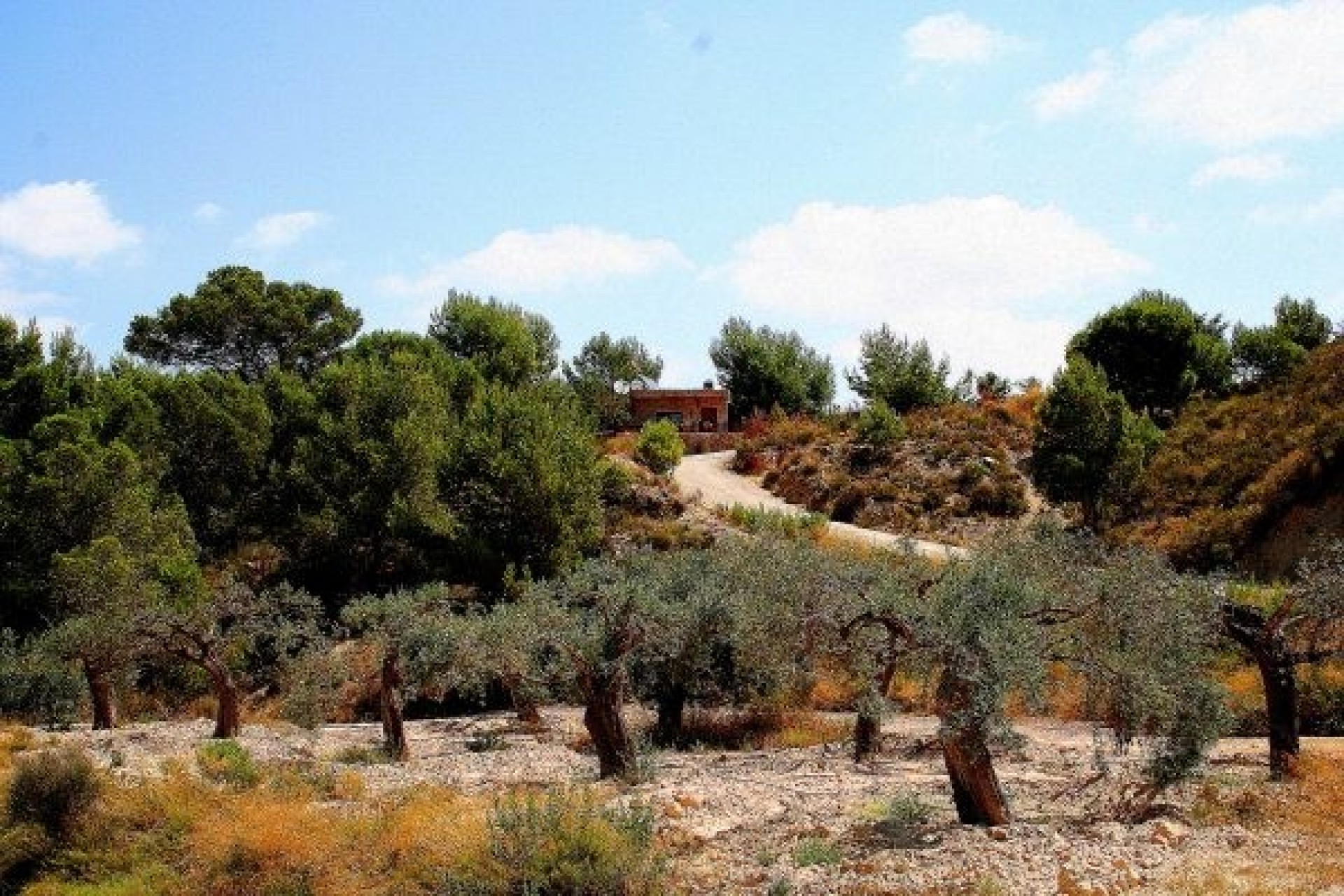 Reventa - Villa -
Murcia - Inland
