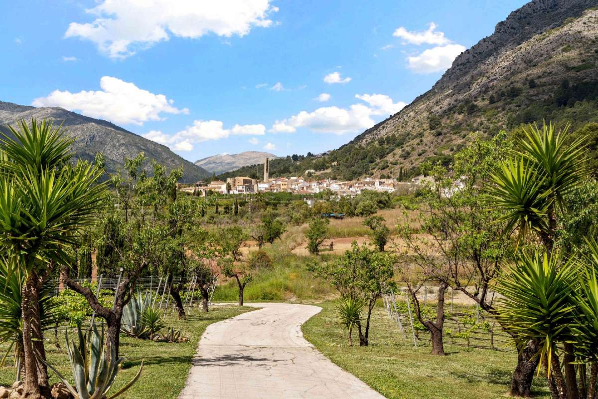 Reventa - Villa -
Murla - Inland