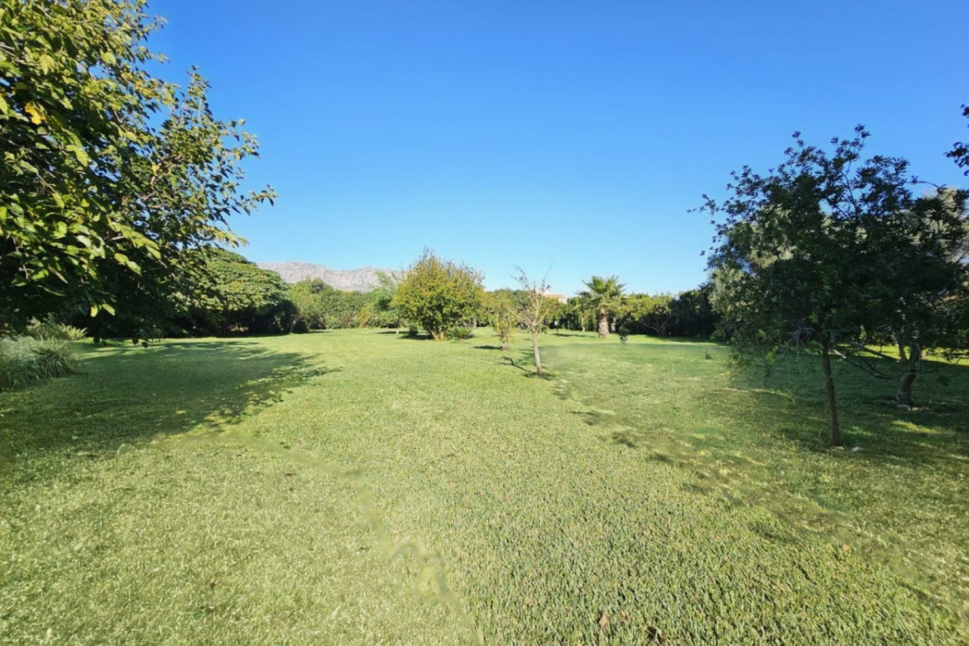 Reventa - Villa -
Ondara - Inland