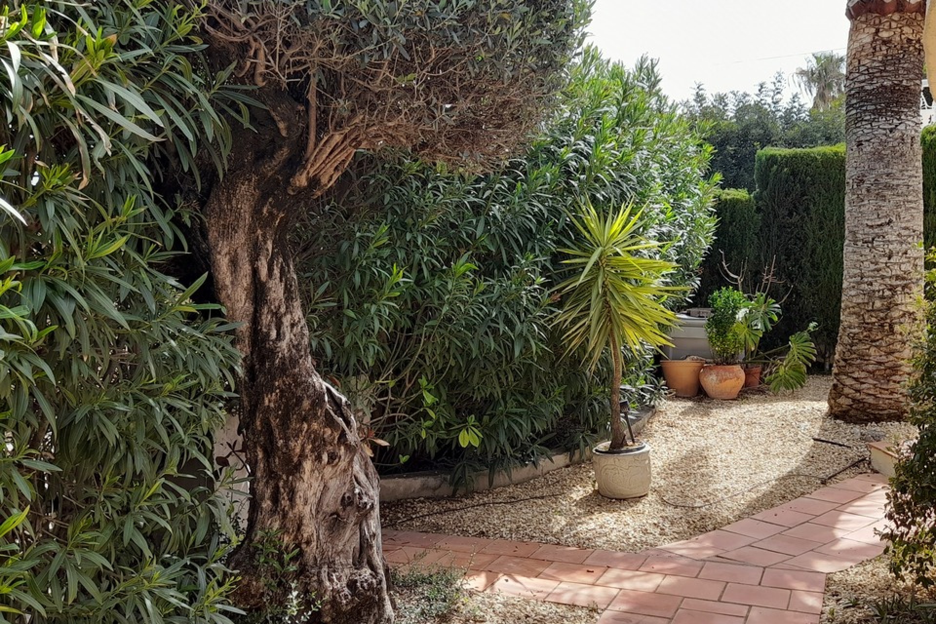 Reventa - Villa -
Orba - Inland