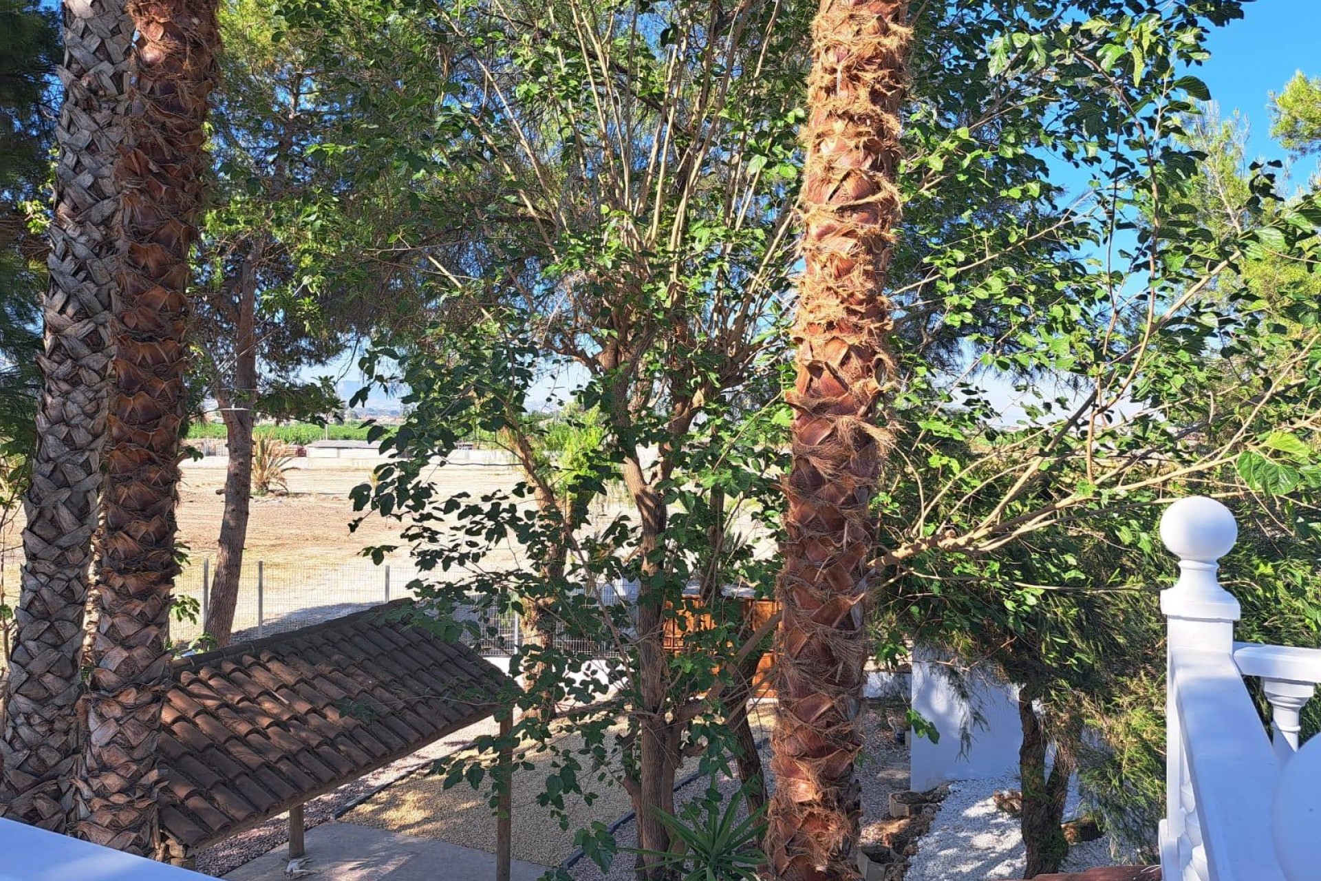 Reventa - Villa -
Orihuela - Desamparados-hurchillo-torremendo