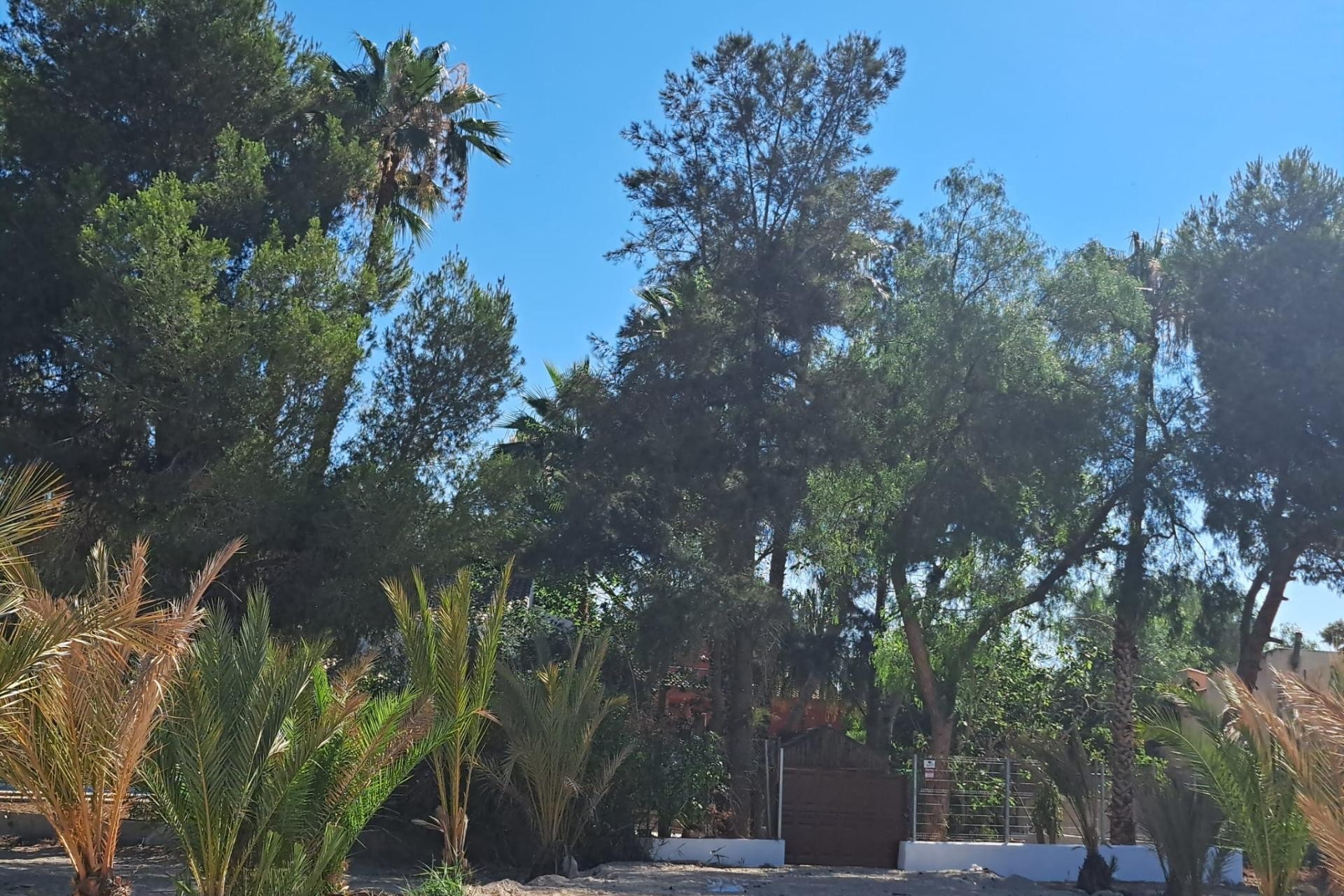 Reventa - Villa -
Orihuela - Desamparados-hurchillo-torremendo