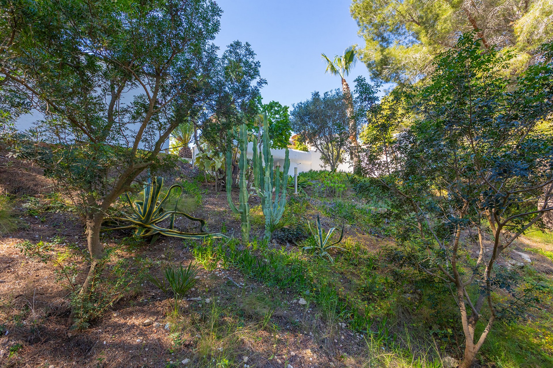 Reventa - Villa -
Orihuela - Inland