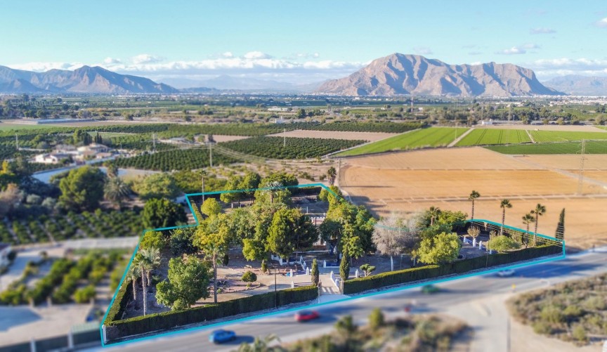 Reventa - Villa -
Orihuela