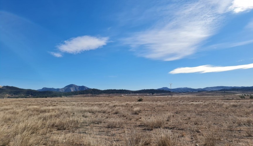 Reventa - Villa -
Pinoso - Inland