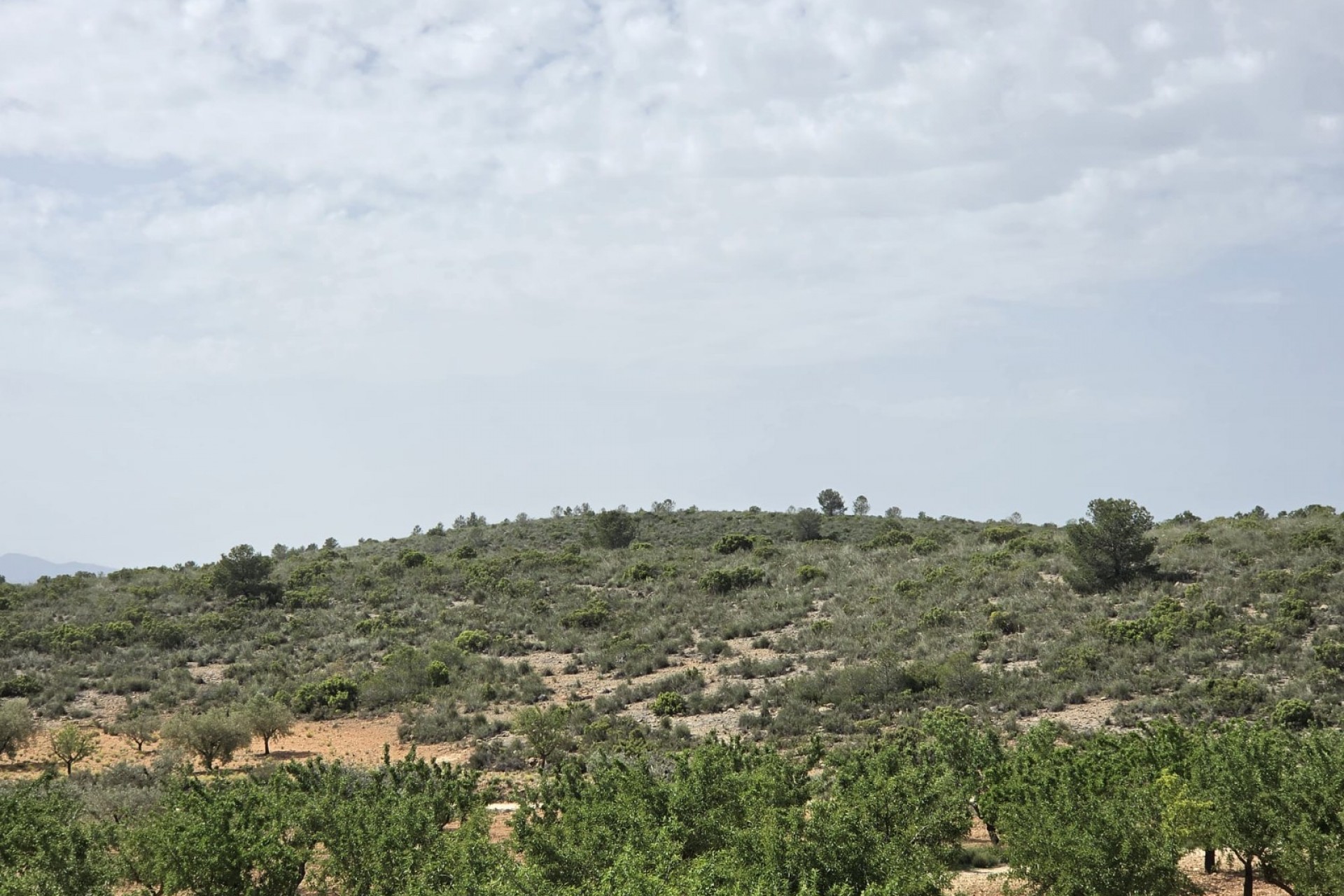 Reventa - Villa -
Pinoso - Inland