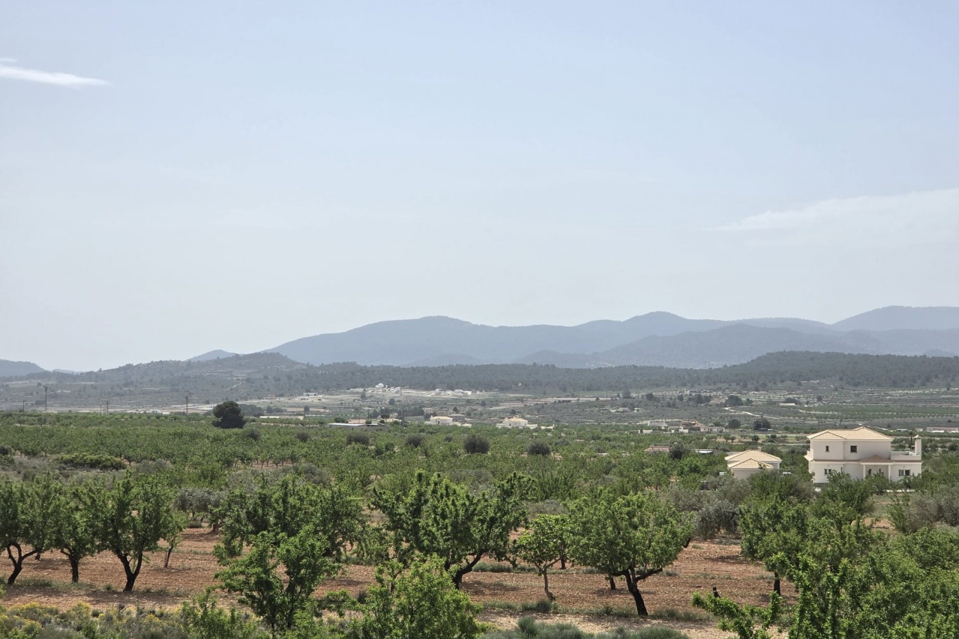 Reventa - Villa -
Pinoso - Inland