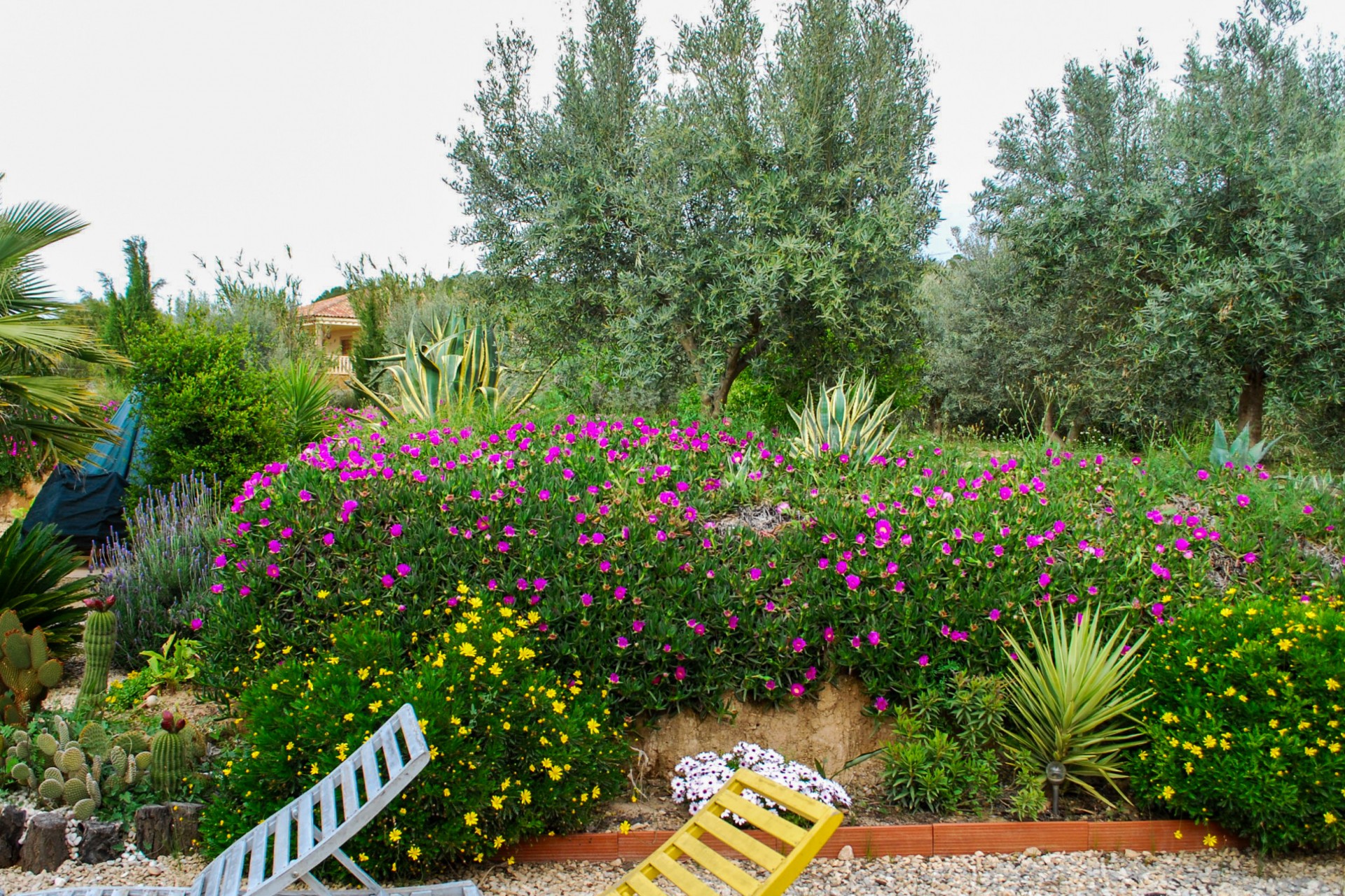 Reventa - Villa -
Pliego - Inland