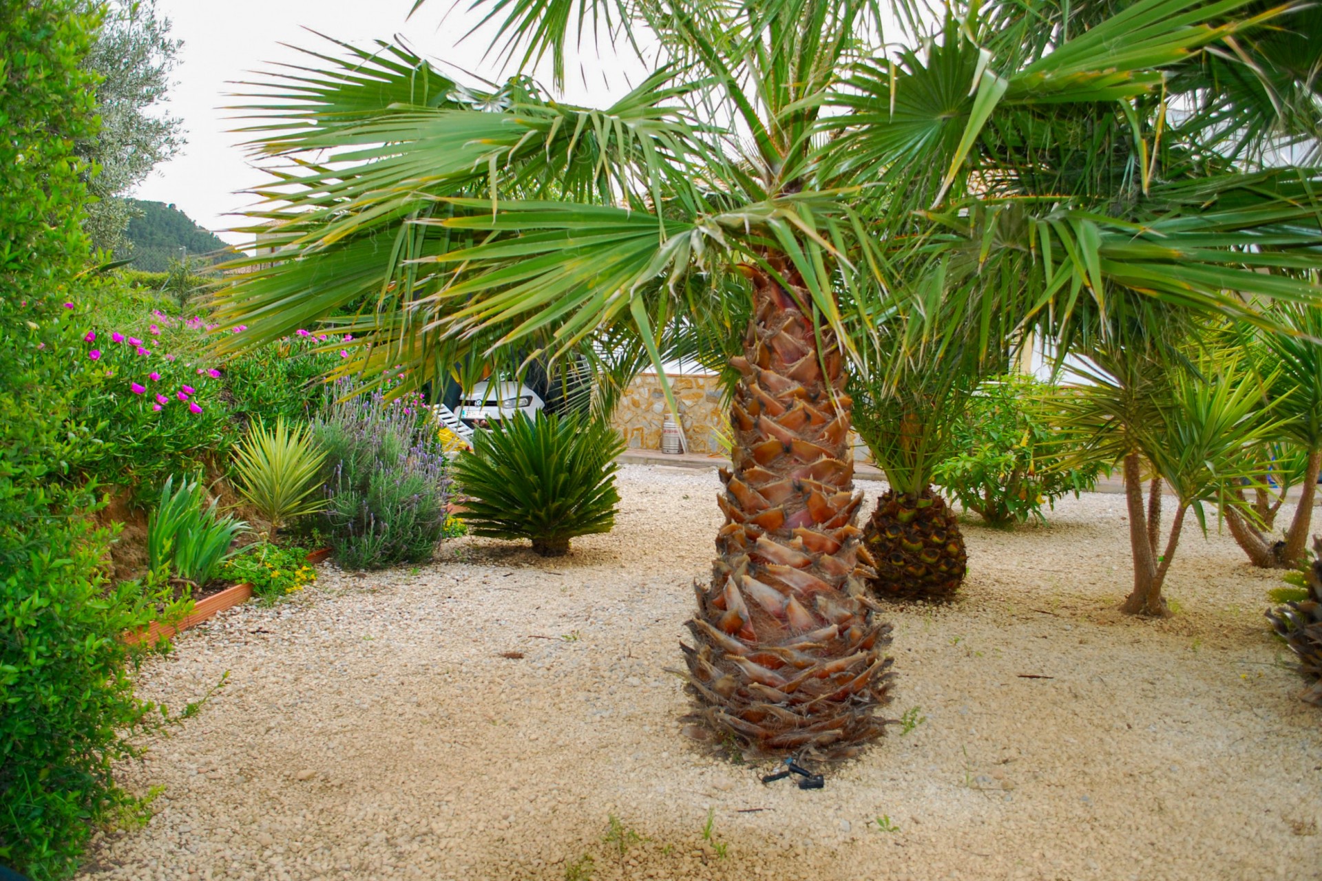 Reventa - Villa -
Pliego - Inland