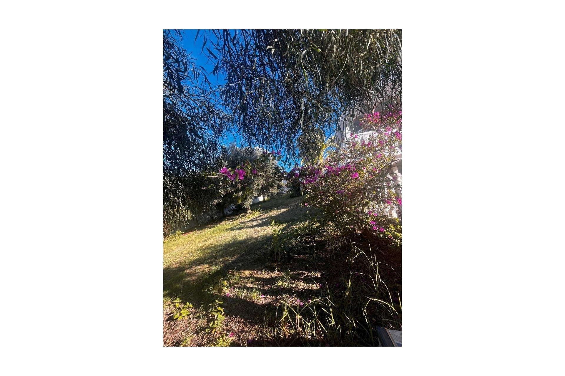 Reventa - Villa -
Rojales - La Marquesa