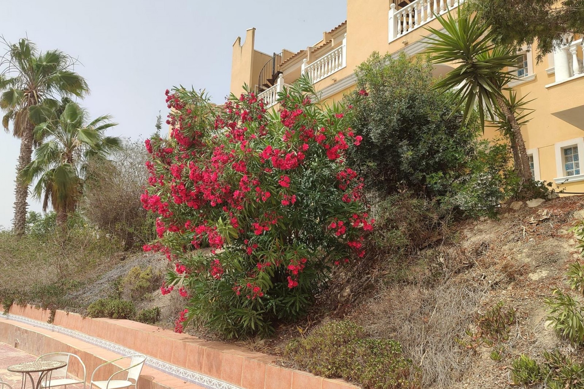 Reventa - Villa -
San Fulgencio - Costa Blanca