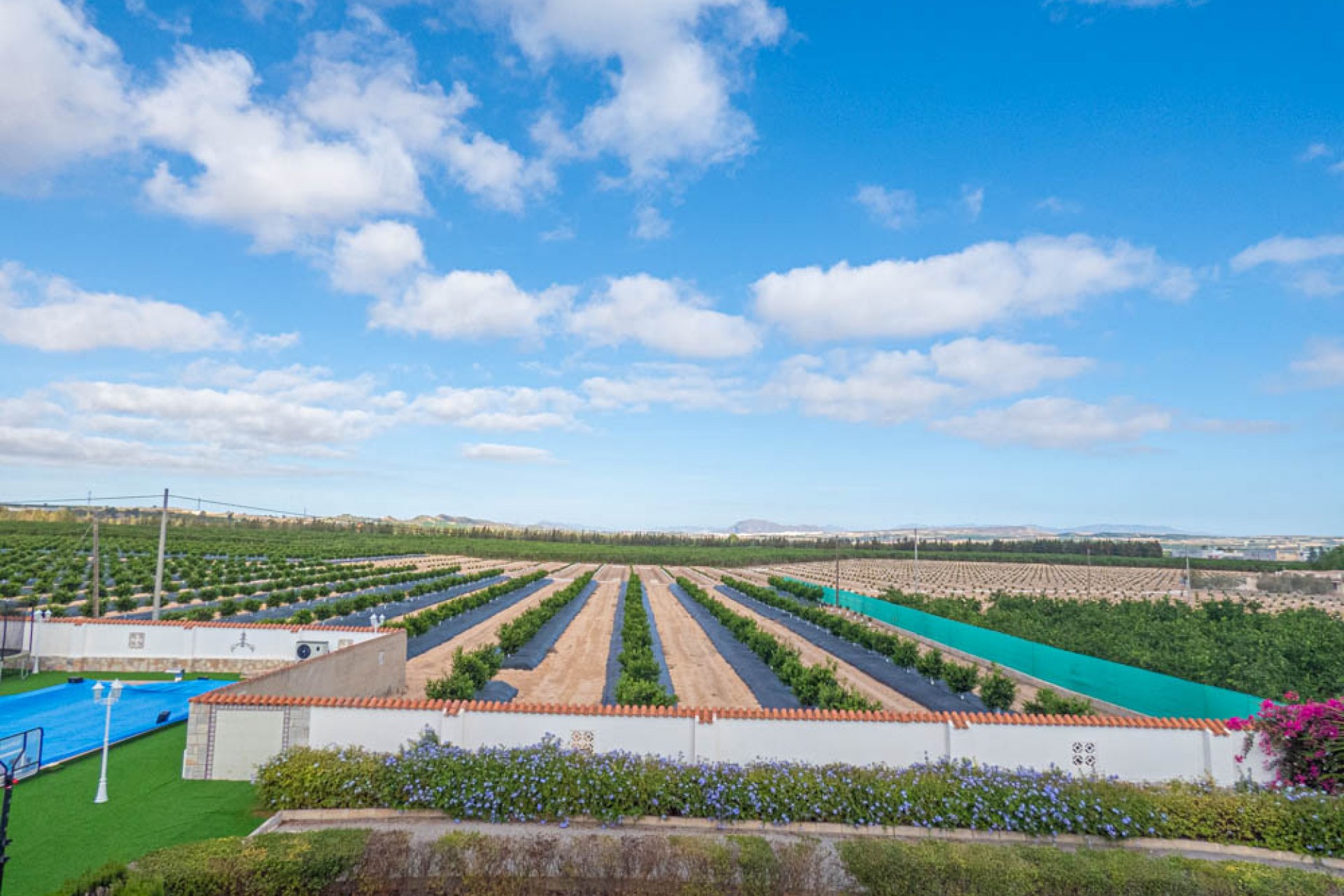 Reventa - Villa -
San Miguel de Salinas - Inland