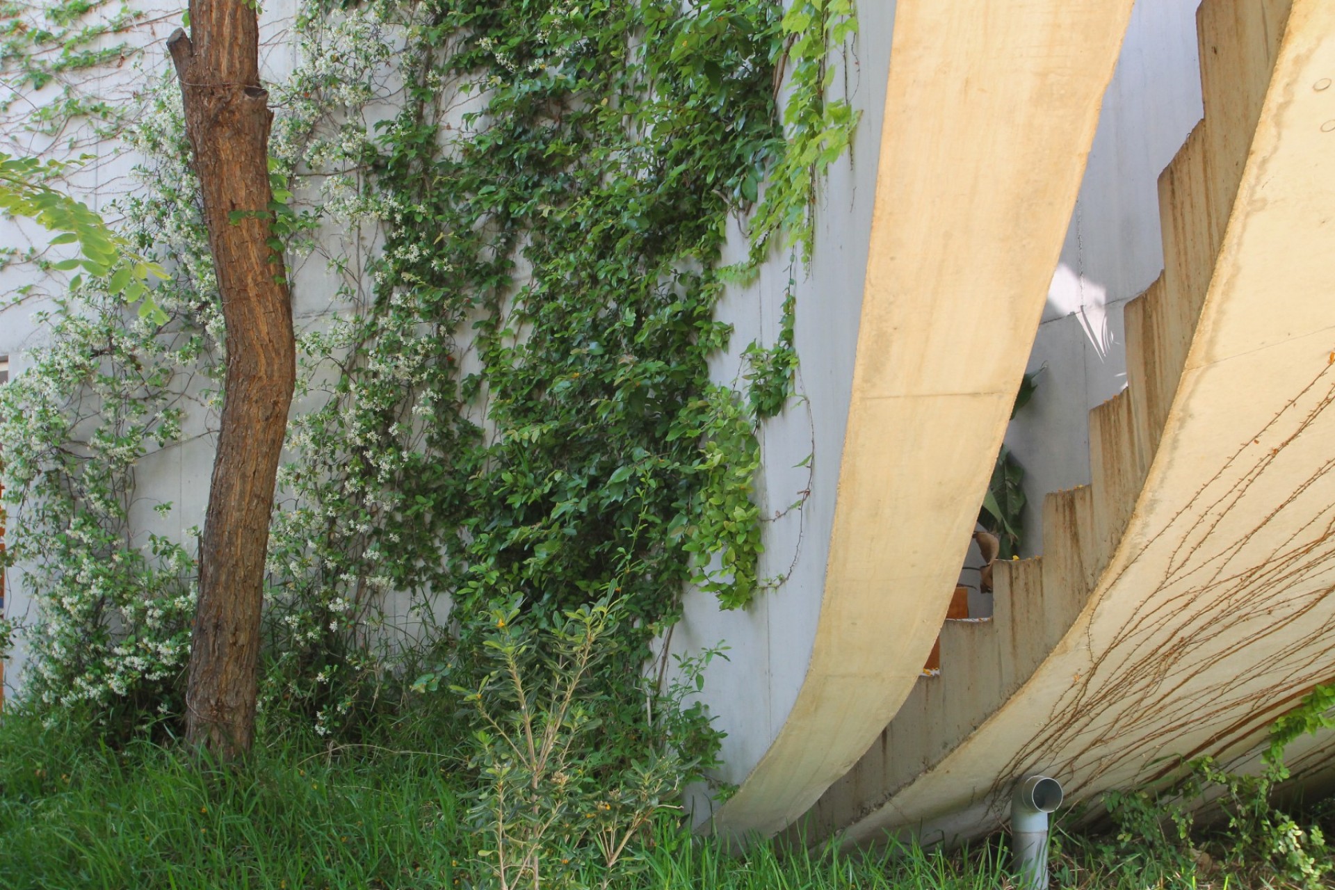 Reventa - Villa -
San Vicente del Raspeig - Inland