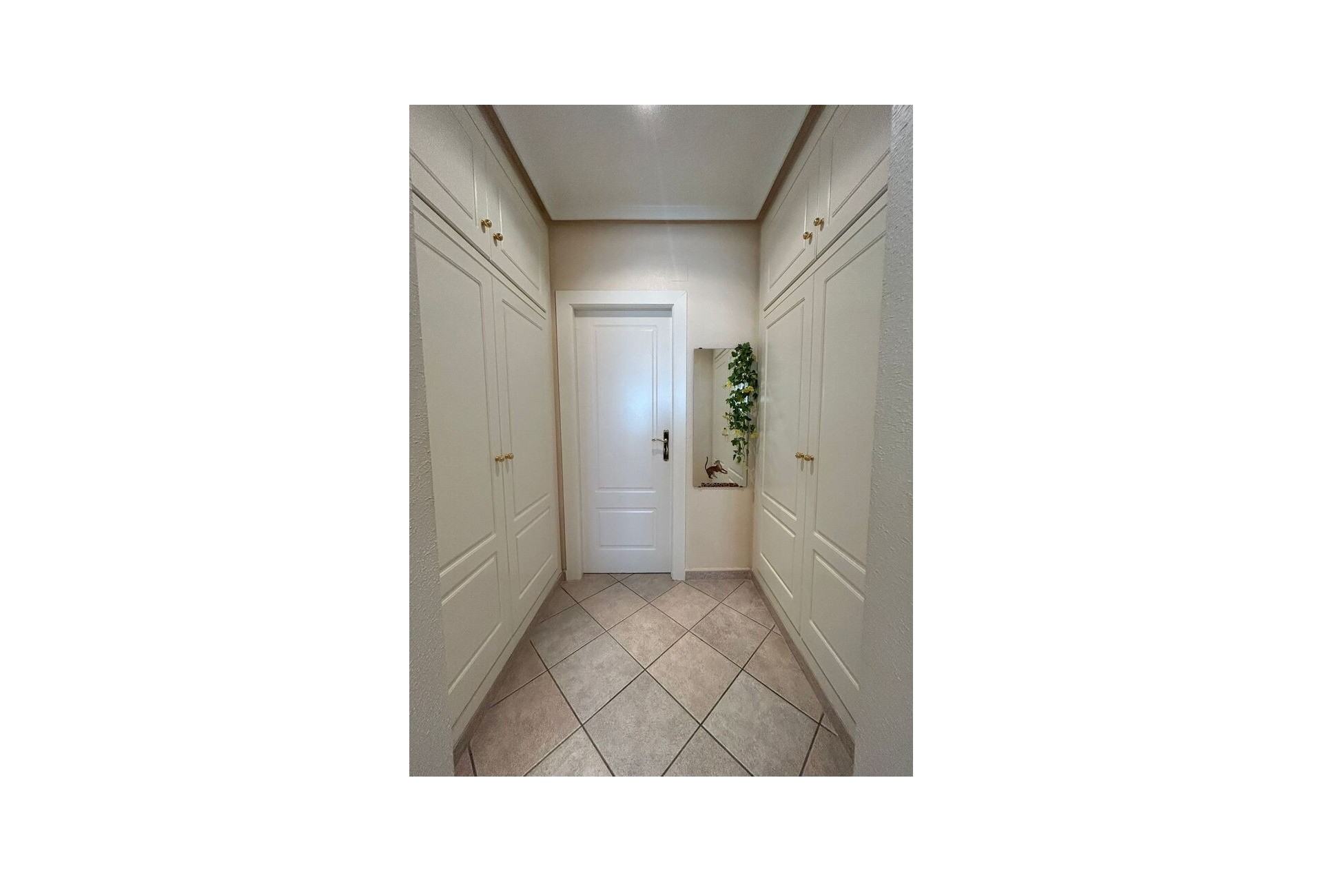 Reventa - Villa -
Torrevieja - aguas nuevas