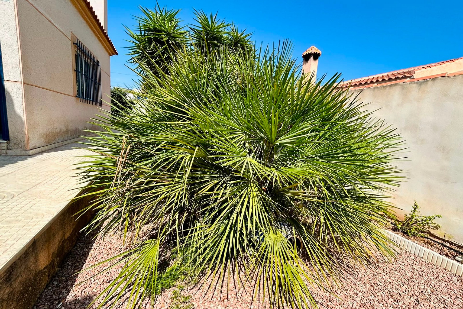 Reventa - Villa -
Torrevieja - Costa Blanca