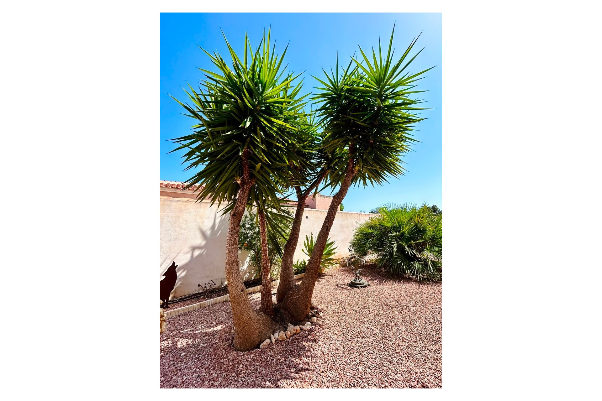 Reventa - Villa -
Torrevieja - Costa Blanca