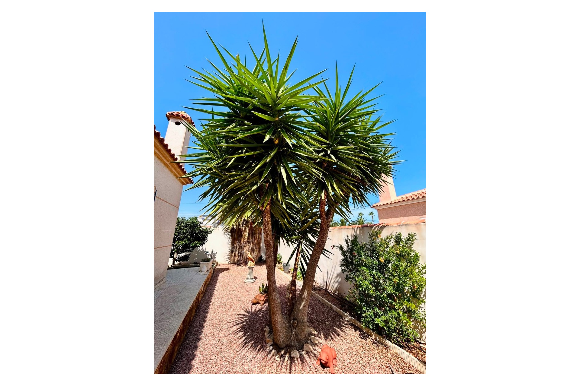 Reventa - Villa -
Torrevieja - Costa Blanca