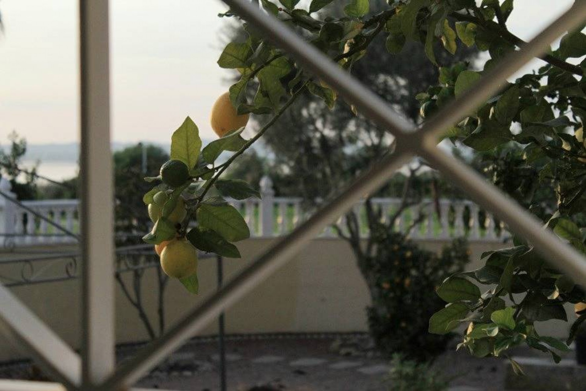 Reventa - Villa -
Torrevieja - La Siesta - El Salado - Torreta