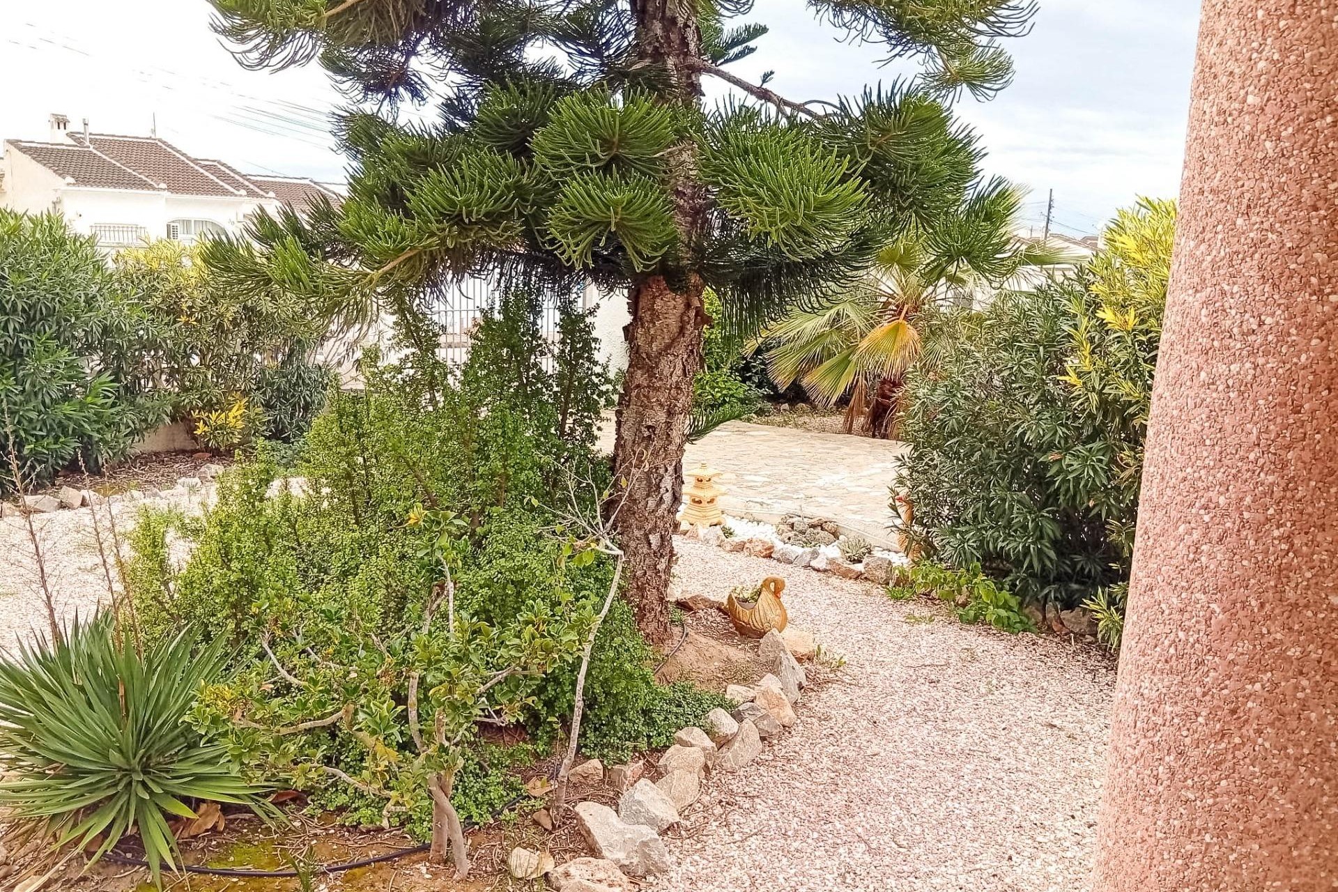 Reventa - Villa -
Torrevieja - La Siesta