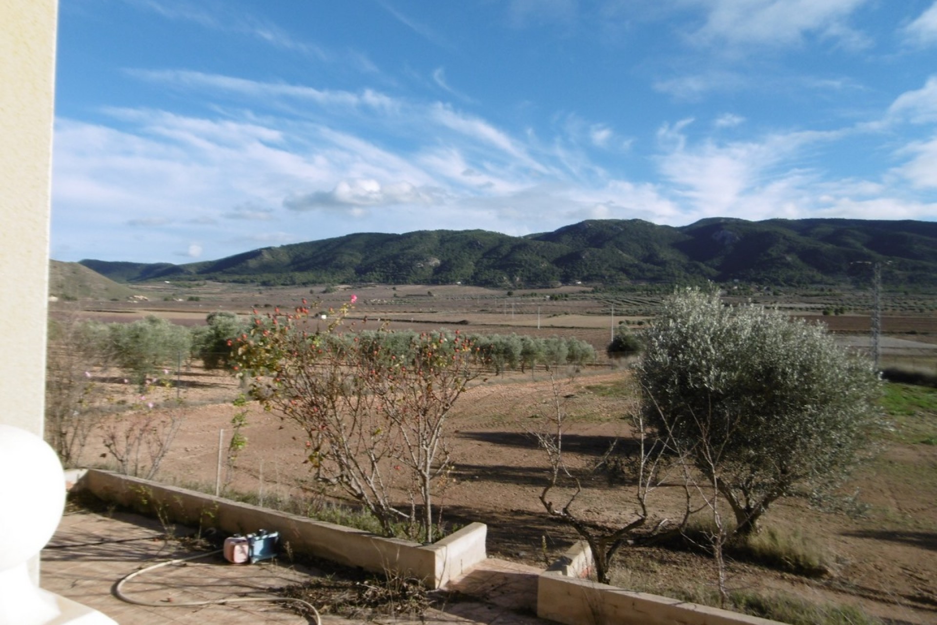 Reventa - Villa -
Yecla - Inland